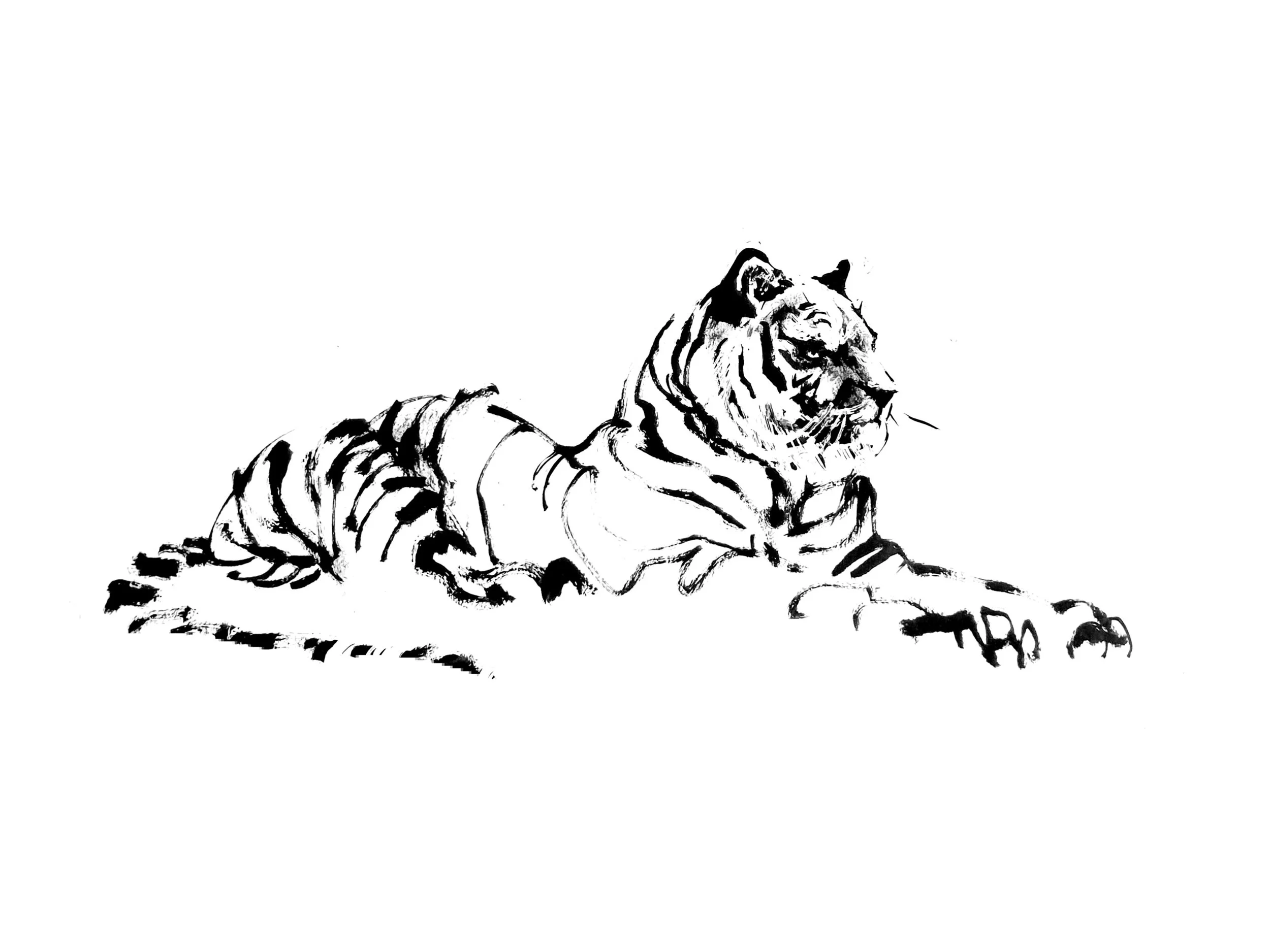 Tiger 3 (Copy) (copie)