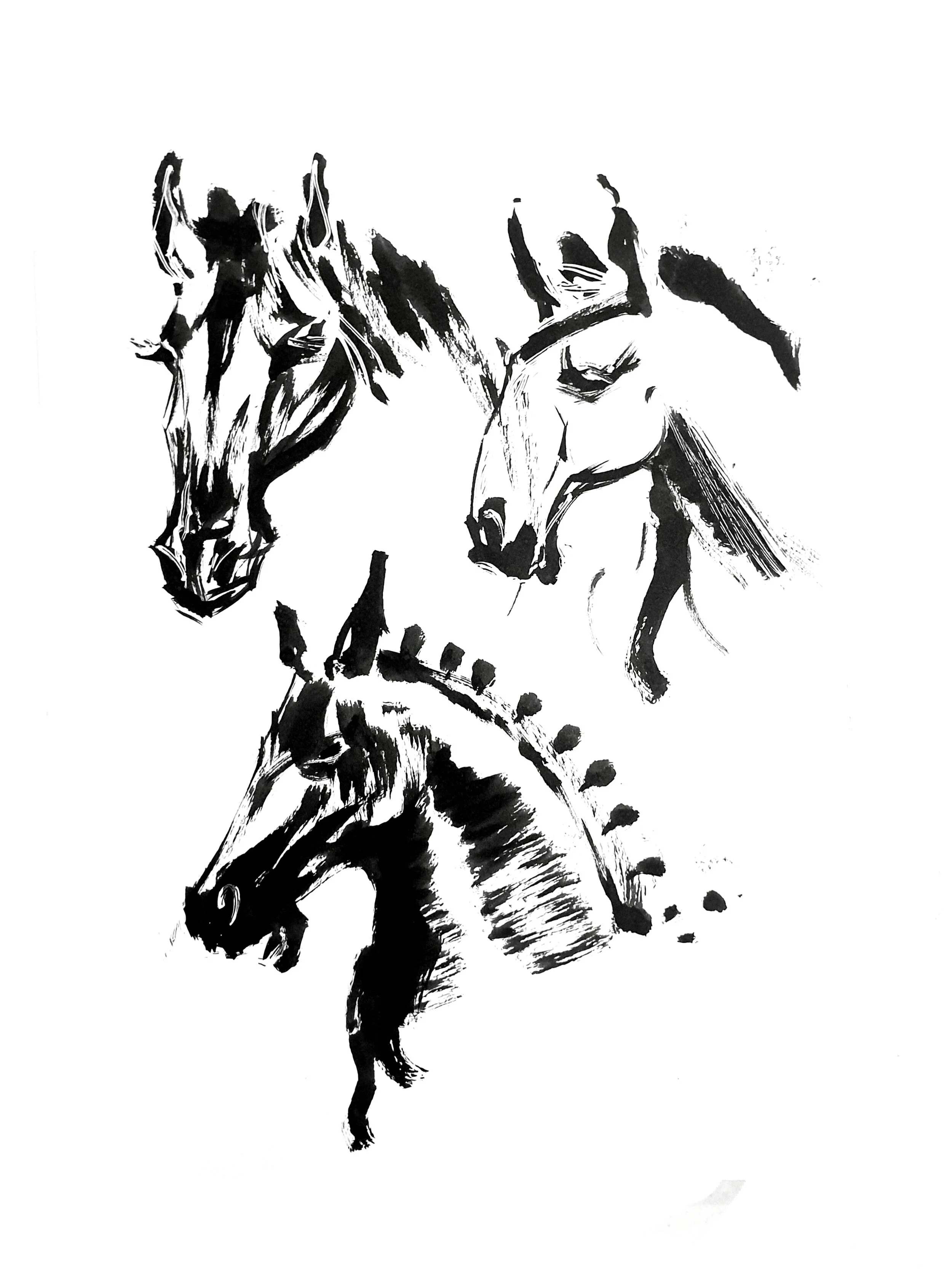 Horses 1 (Copy) (copie)