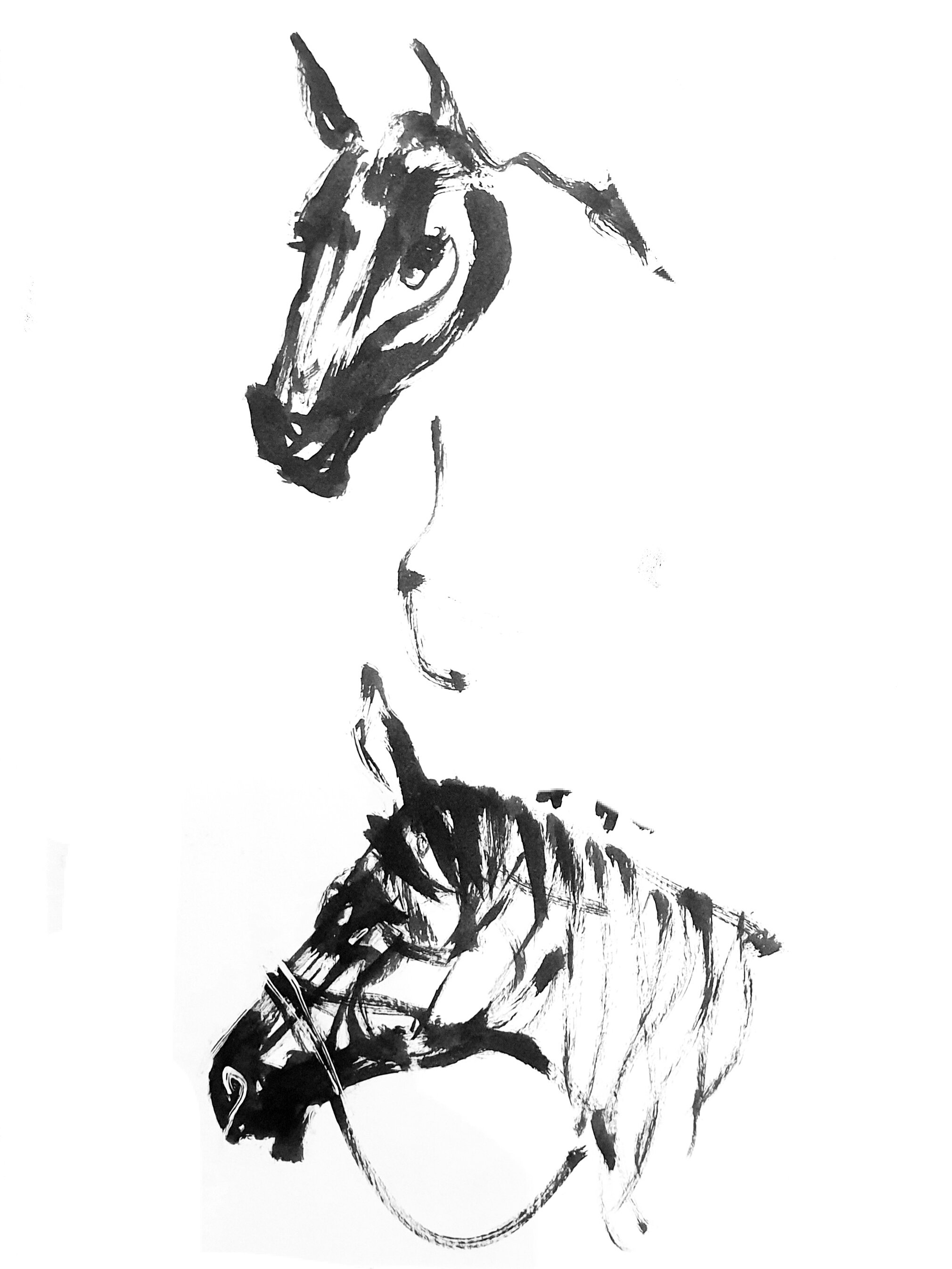 Horses 2 (Copy) (copie)