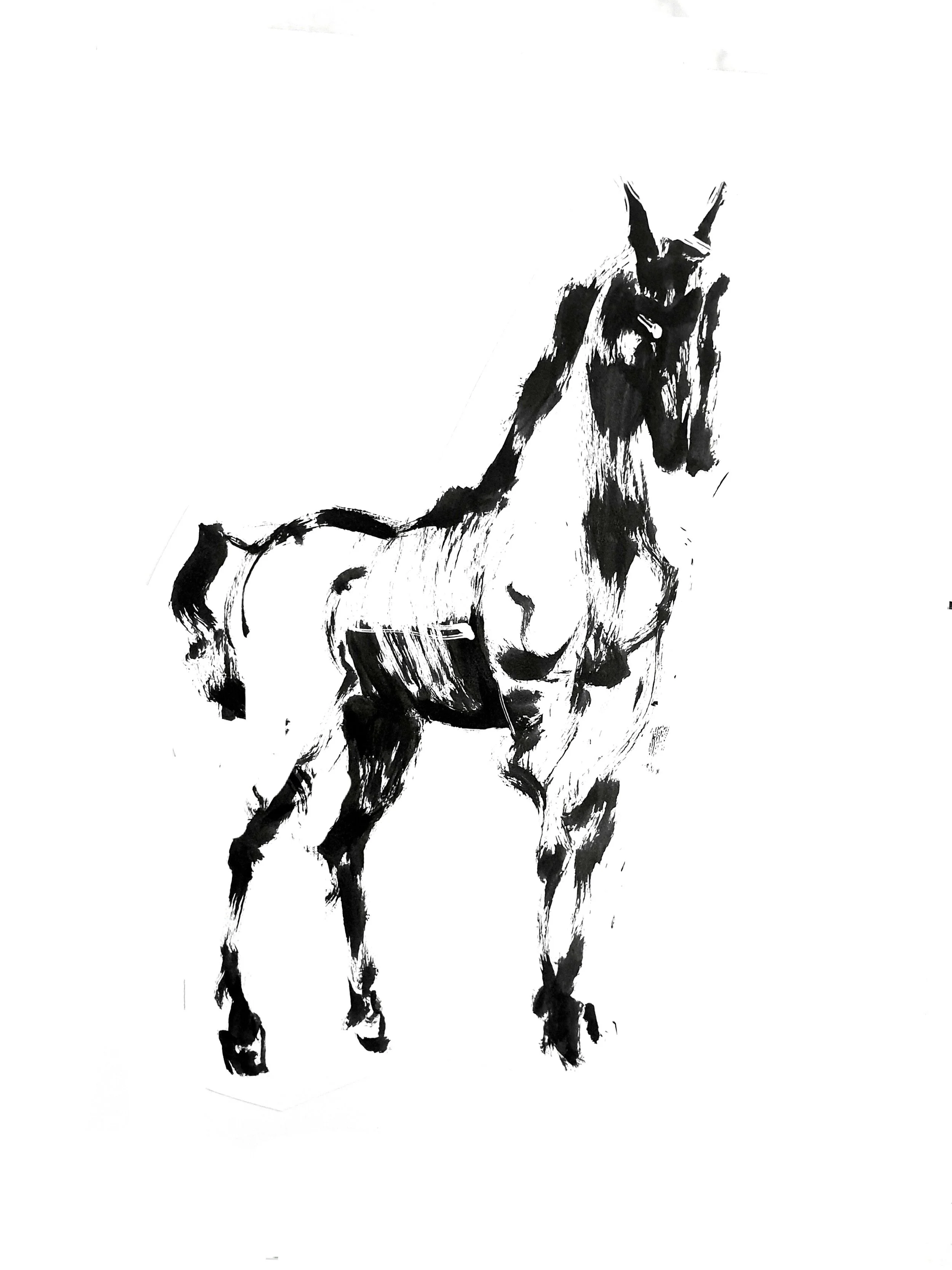 Horse 2 (Copy) (copie)