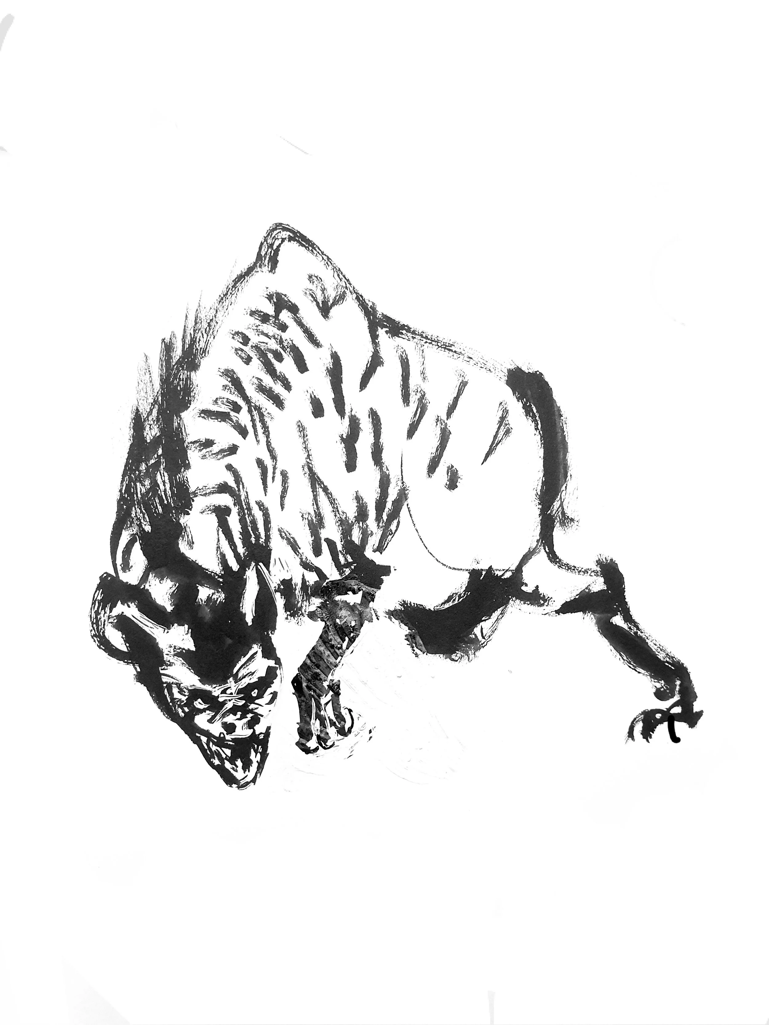 Hyena 4 (Copy) (copie)