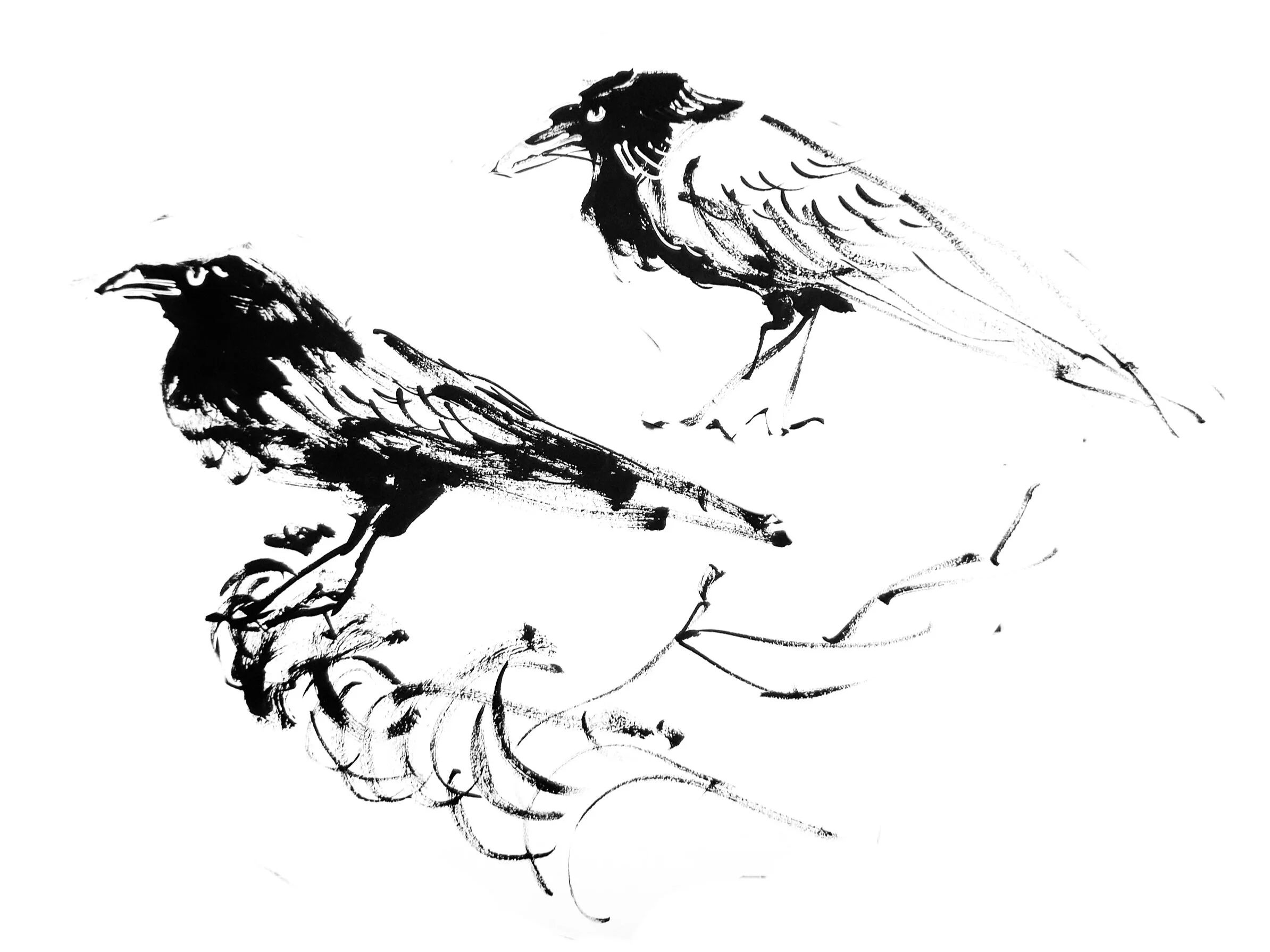 Birds 4 (Copy) (copie)