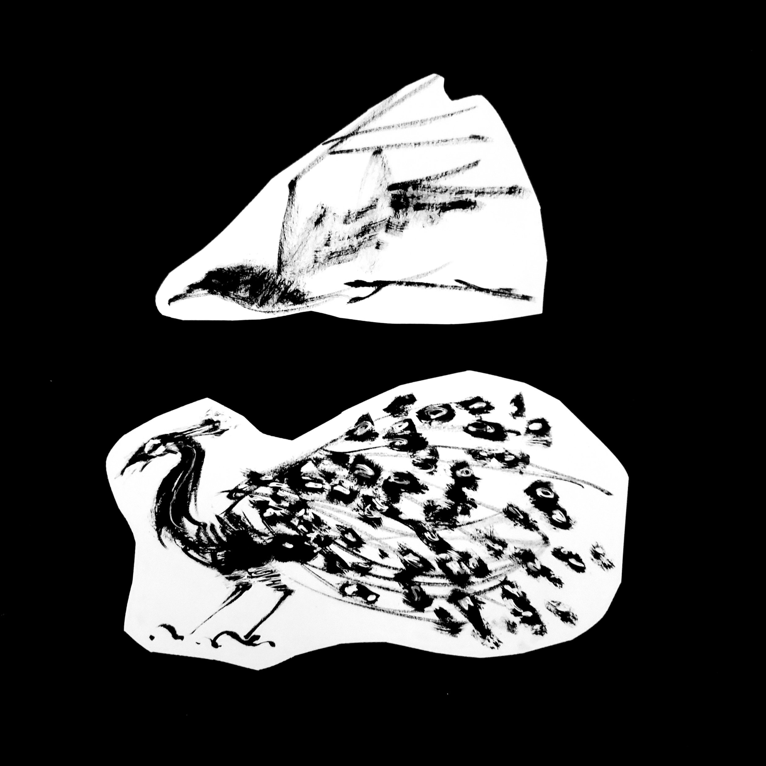  Disponible / Available 