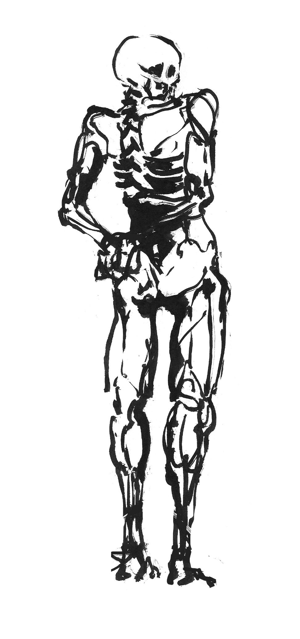 Écorché 4 (Copy) (copie)