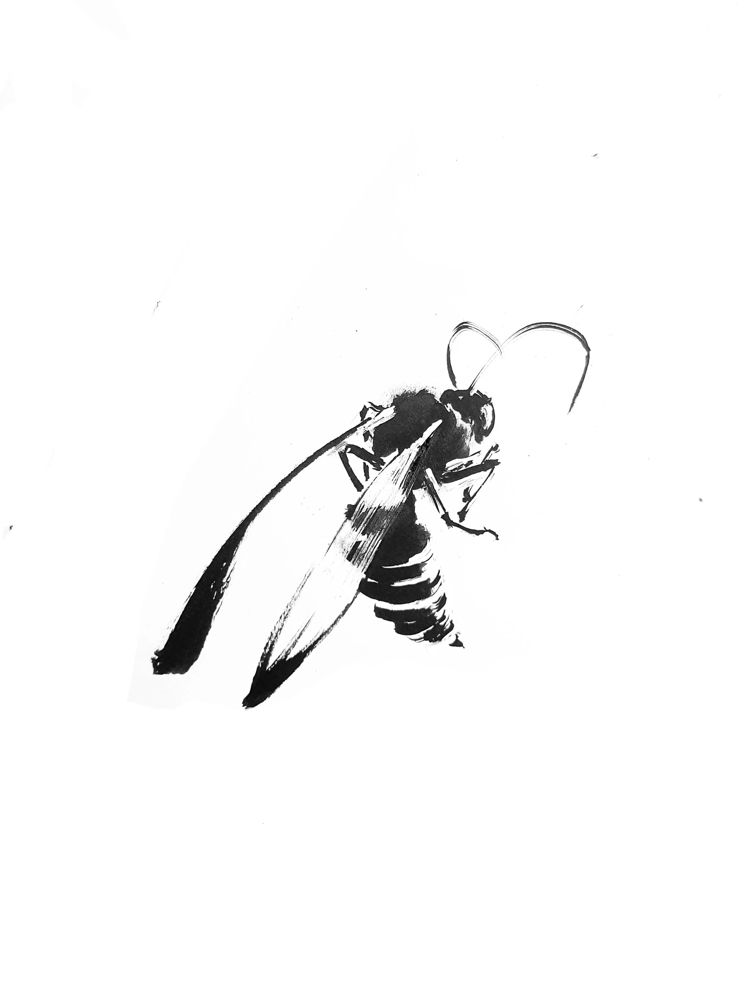 Wasp 2 (Copy) (copie)