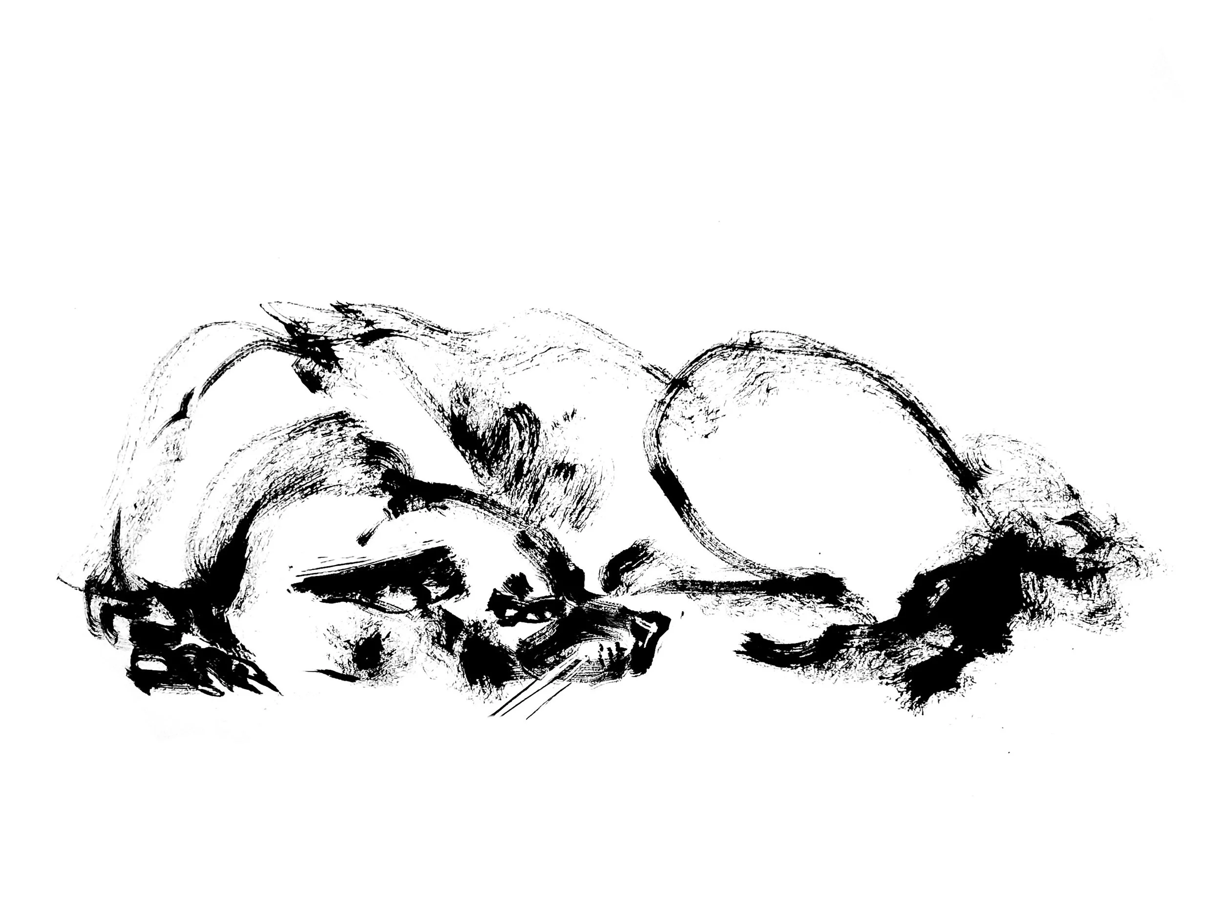 Dog 3 (Copy) (copie)