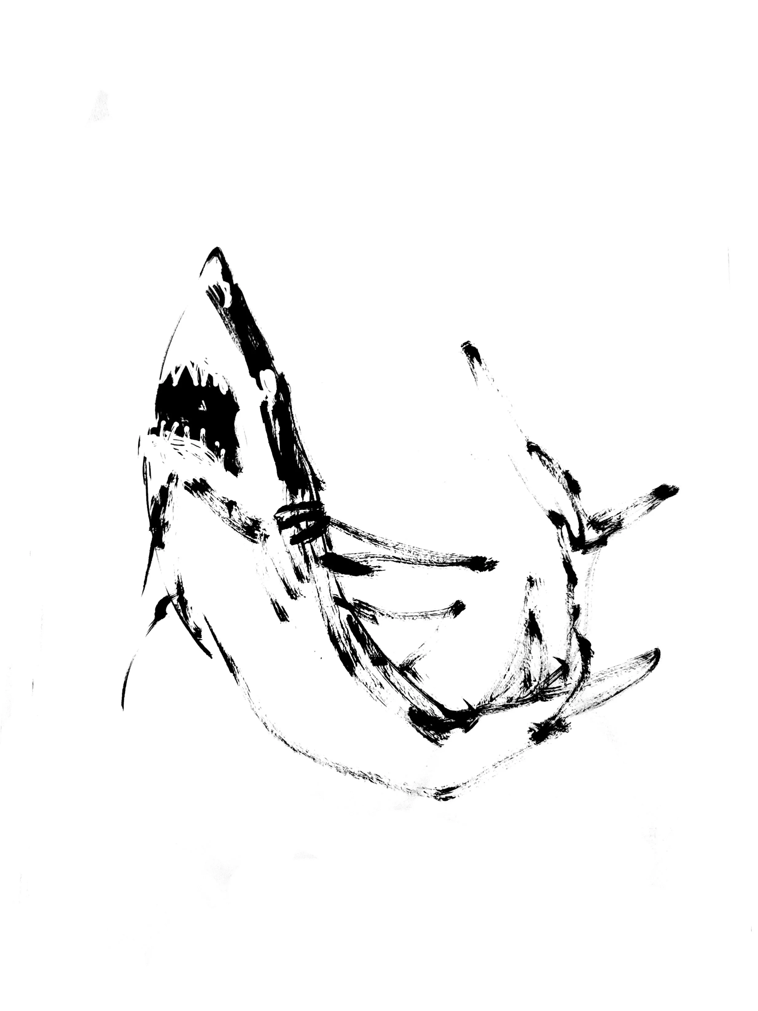 Shark 7 (Copy) (copie)