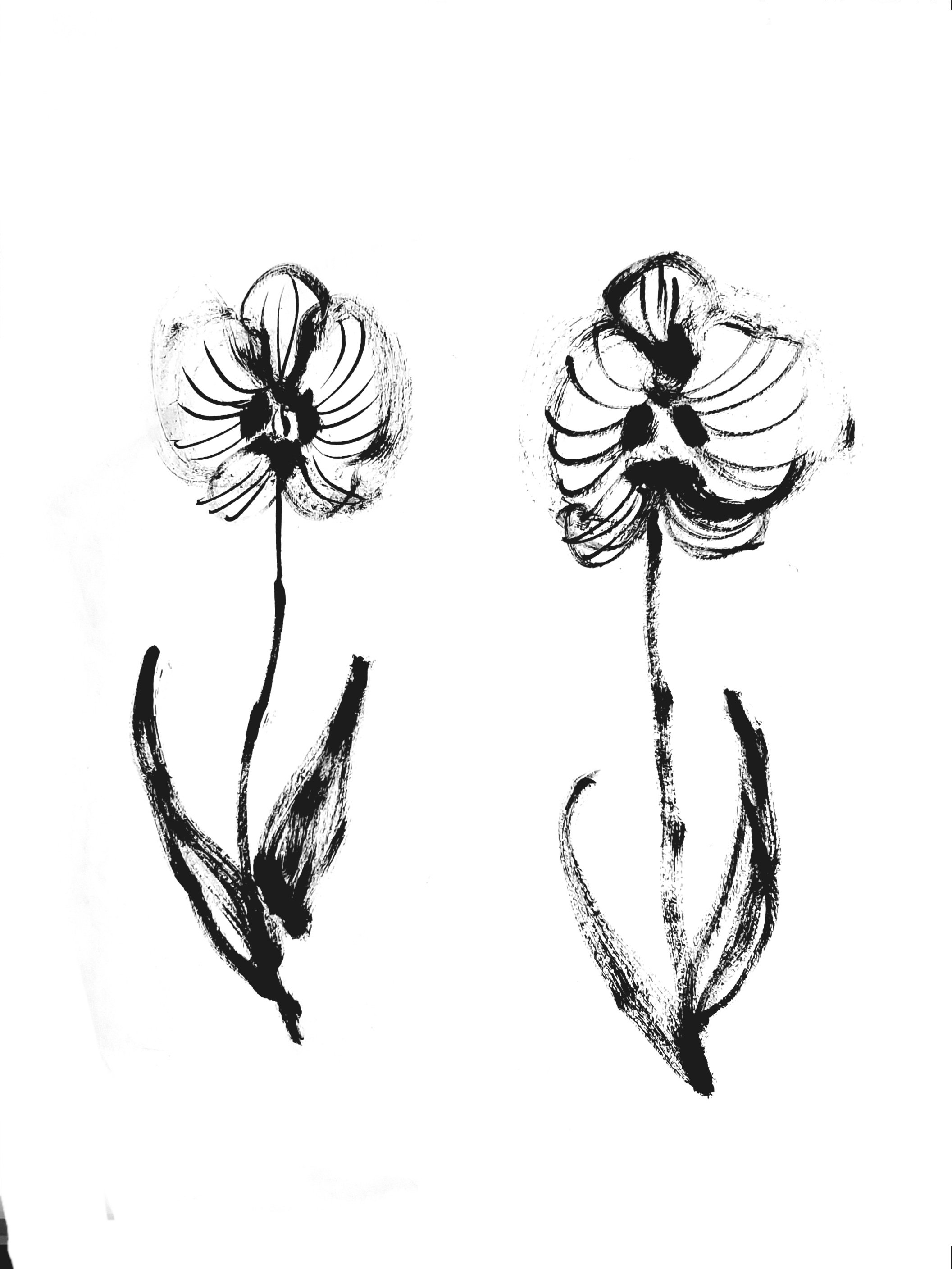 Orchid 2 (Copy) (copie)