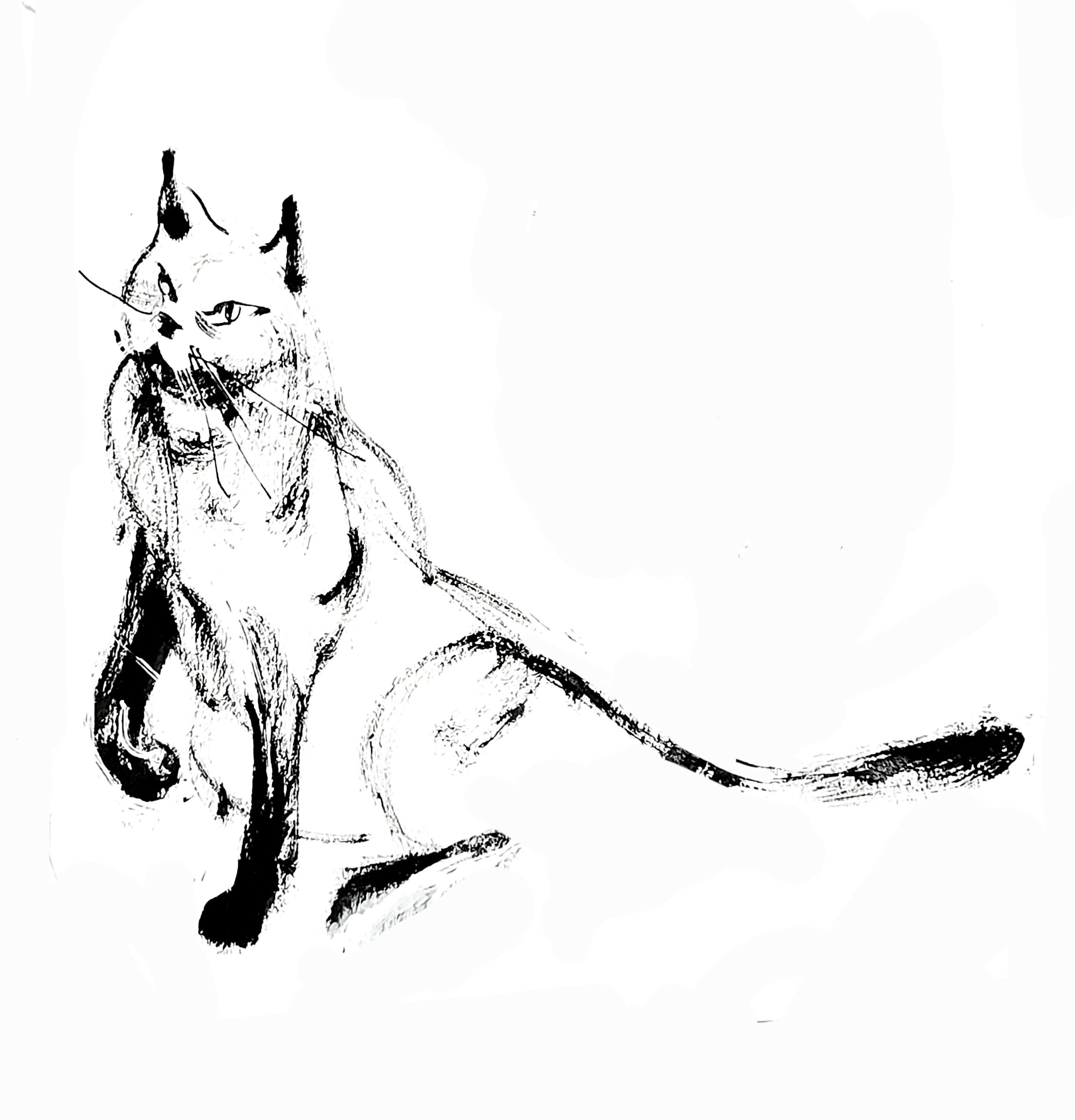 Greffier 1 (Copy) (copie)