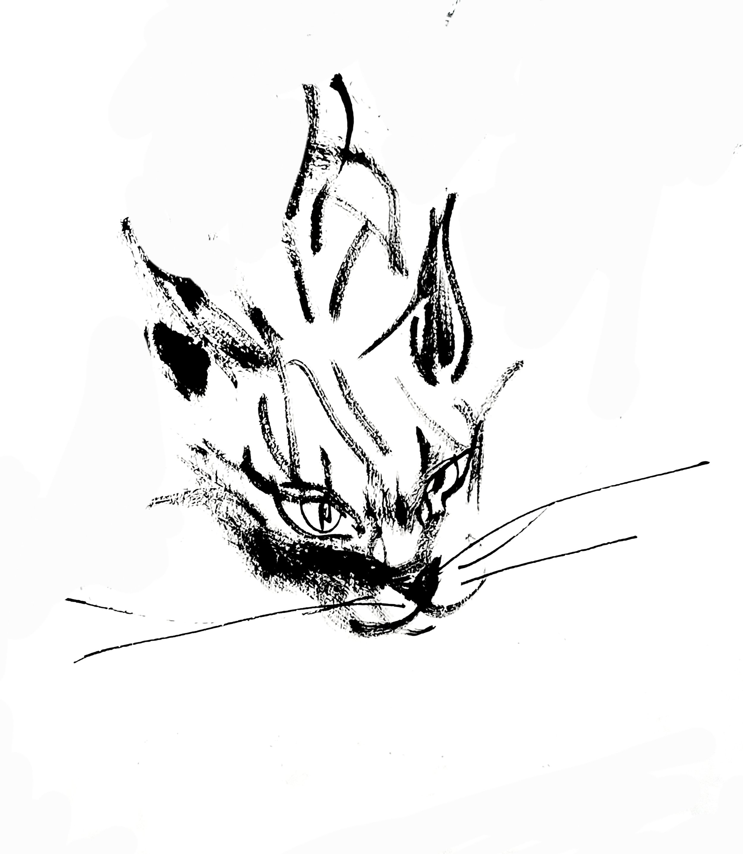 Greffier 2 (Copy) (copie)