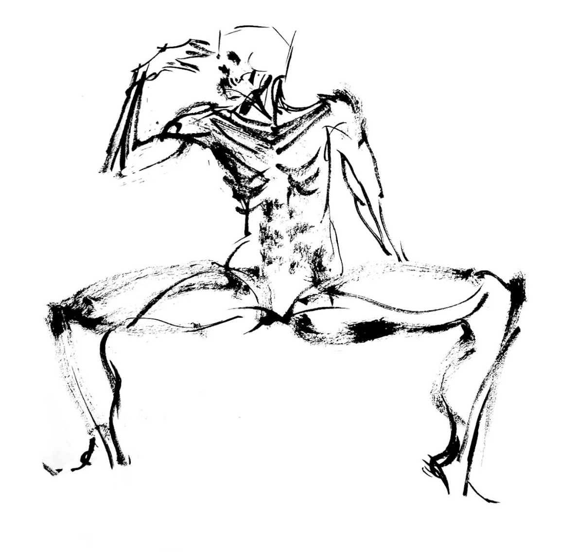  Disponible / Available 