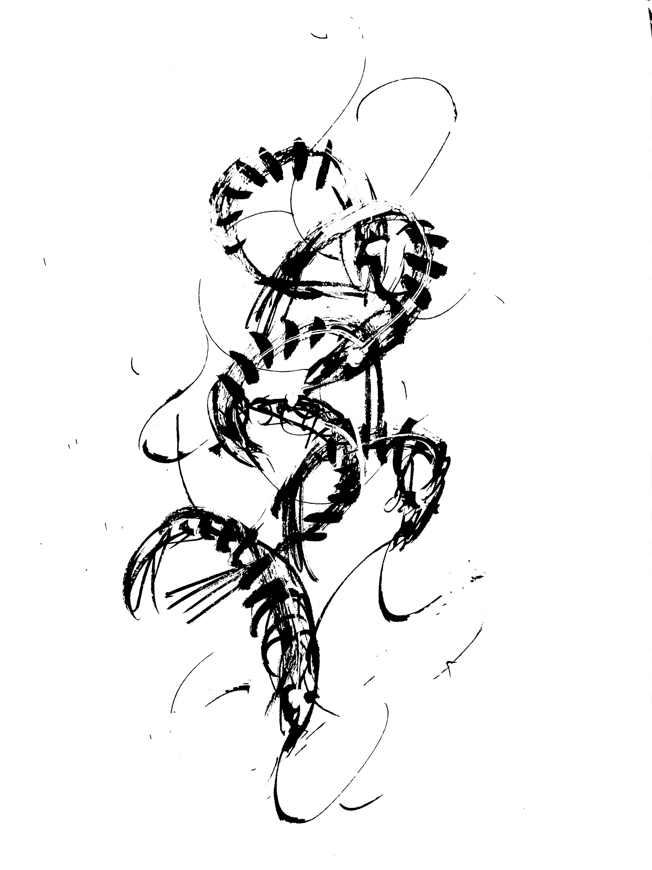 shrimp V (Copy) (copie)