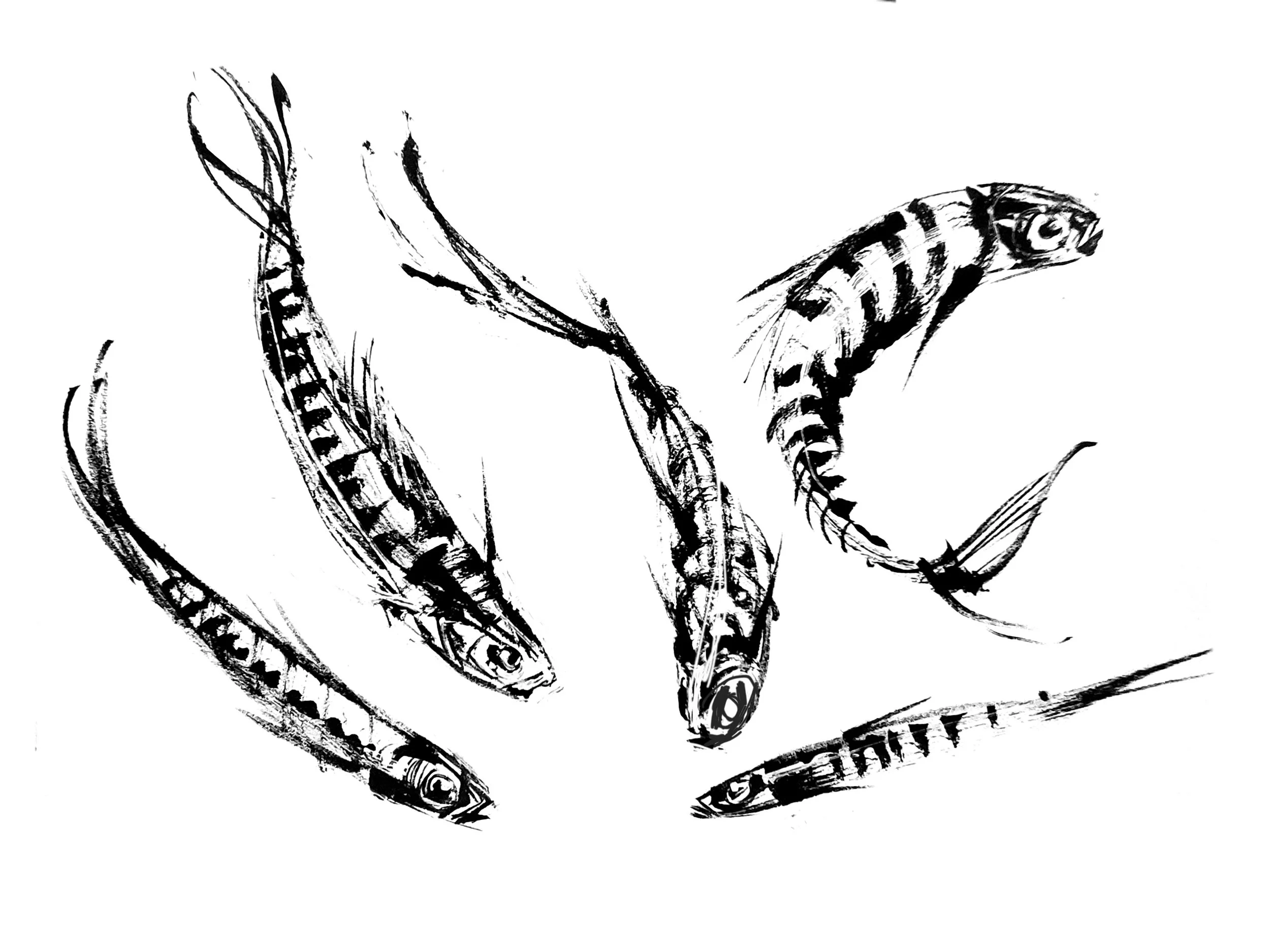 Sardines (Copy) (copie)