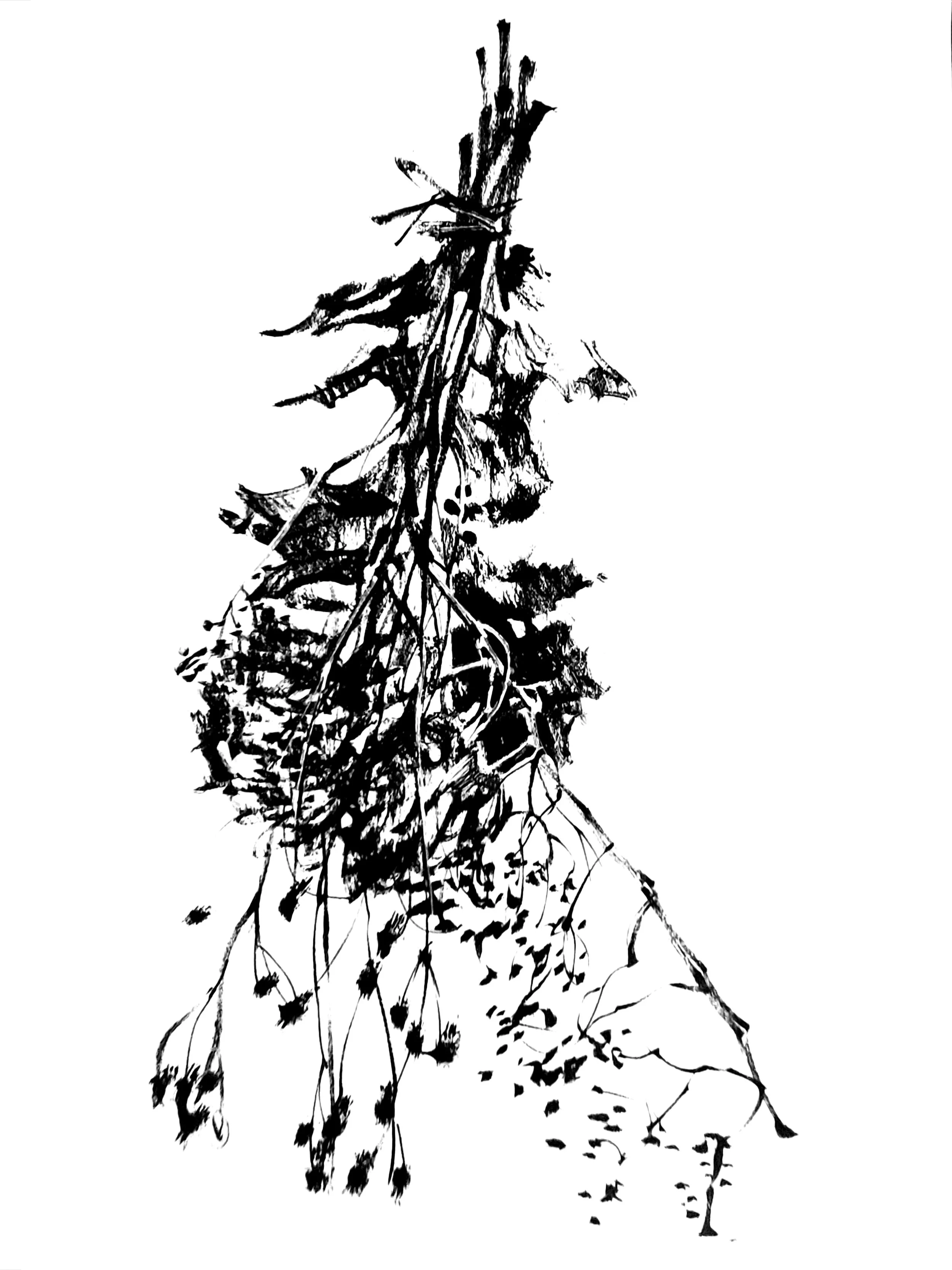 dry 2 (Copy) (copie)