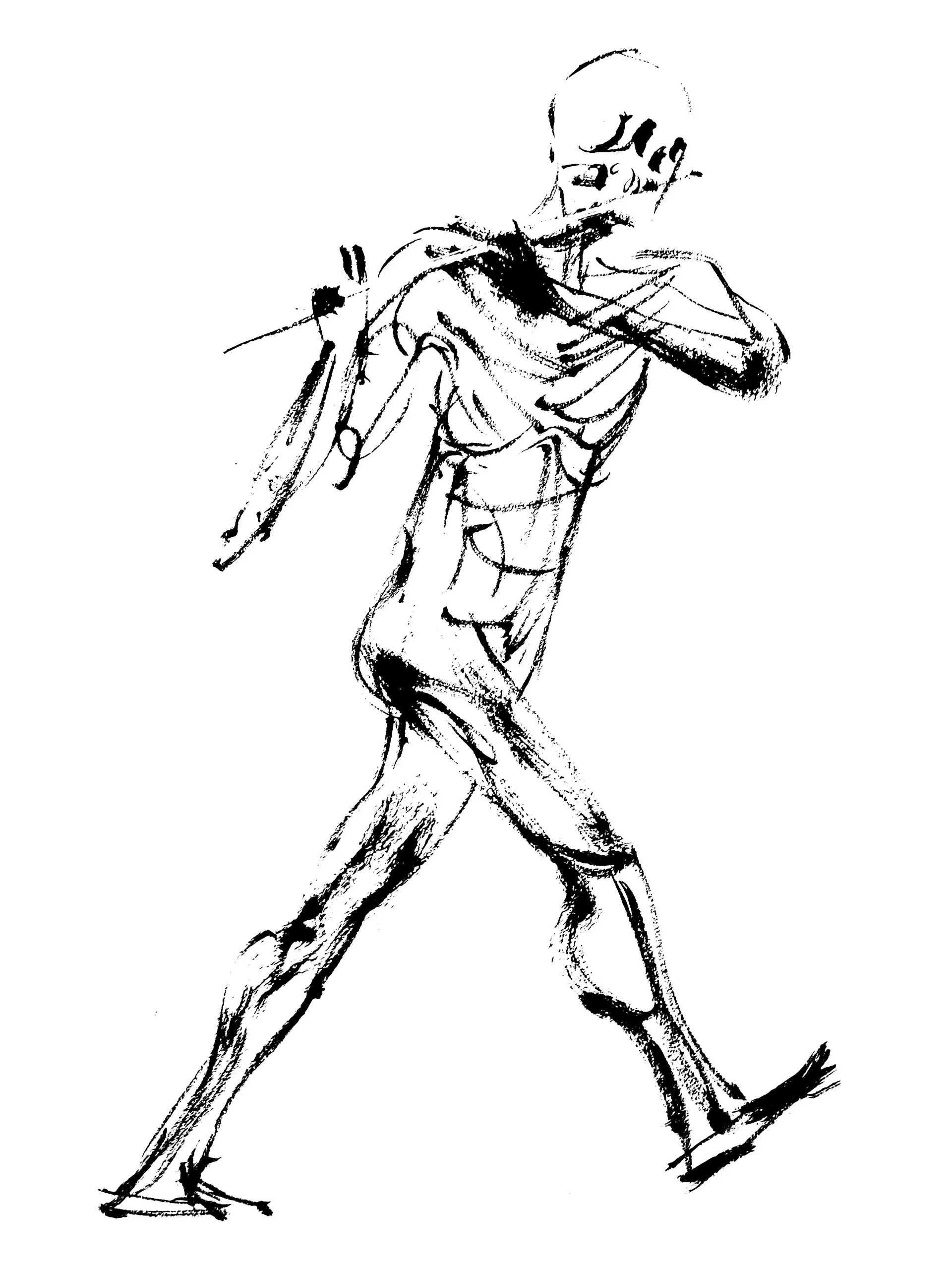 pipo 2 (Copy) (copie)