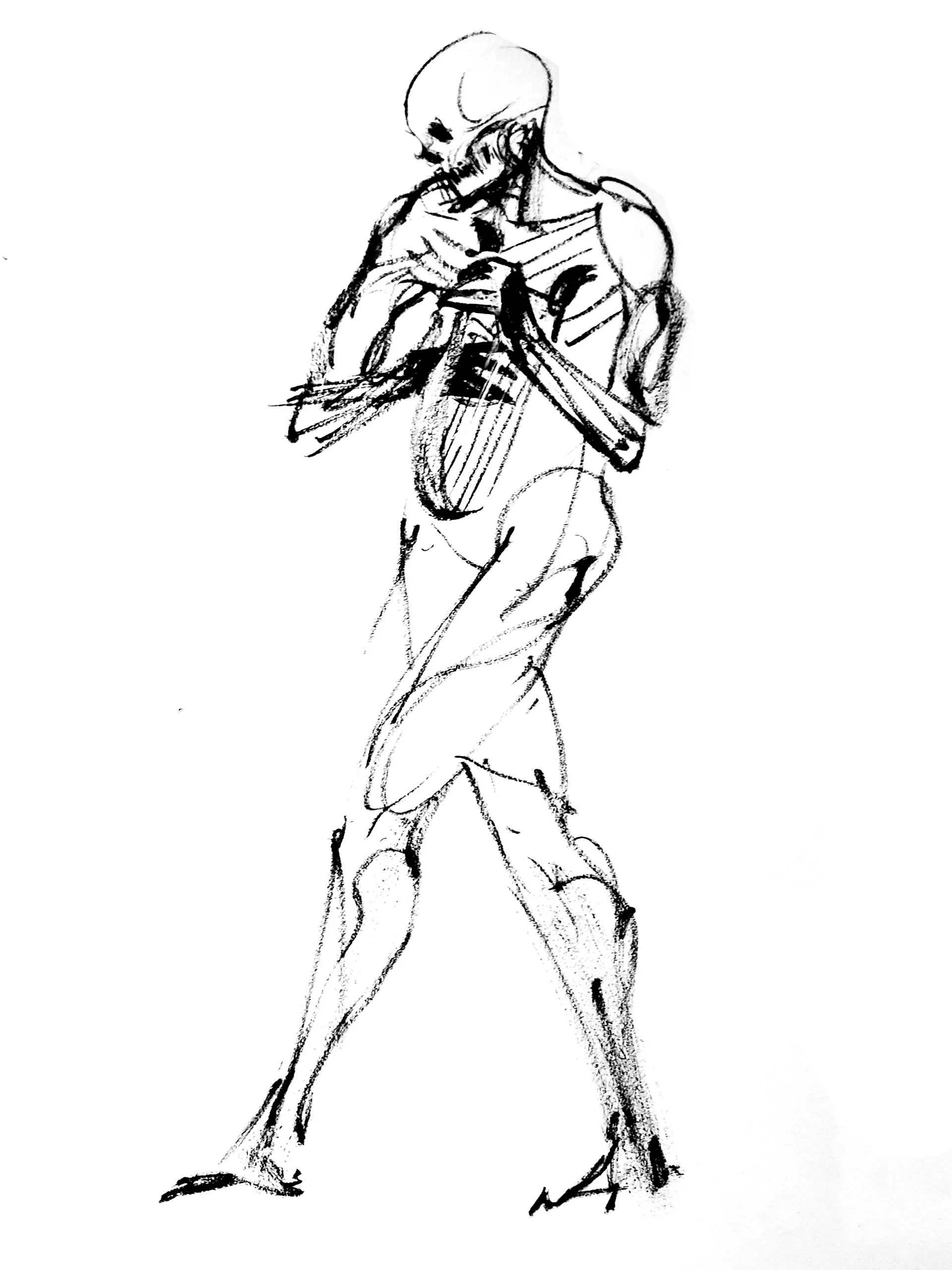 Harp 1 (Copy) (copie)