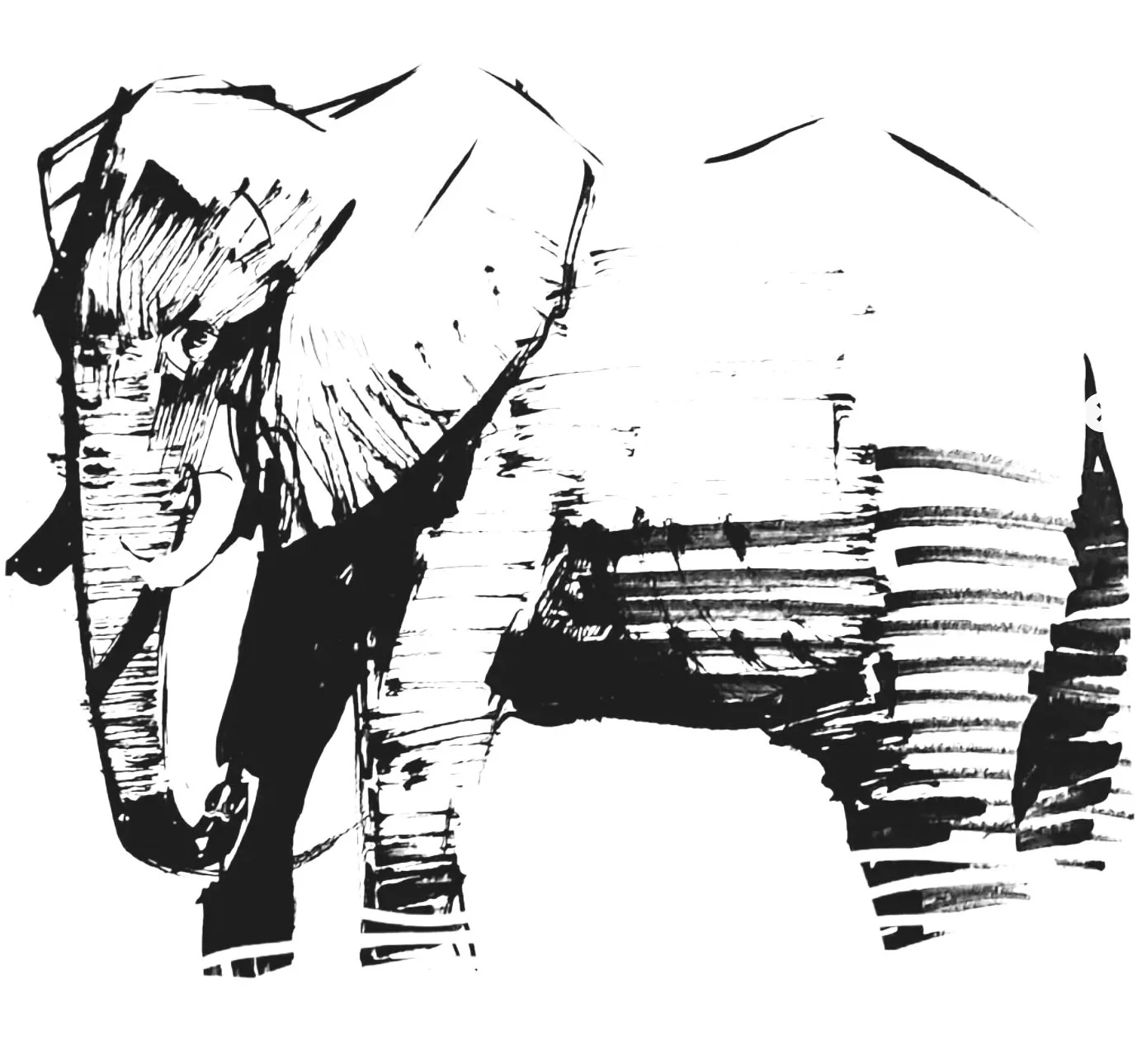 Elephant 9 (Copy) (copie)