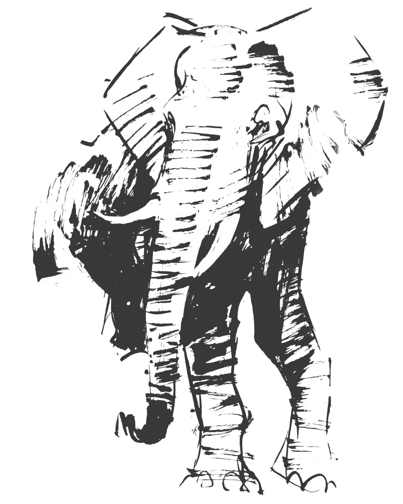 Elephant 6 (Copy) (copie)