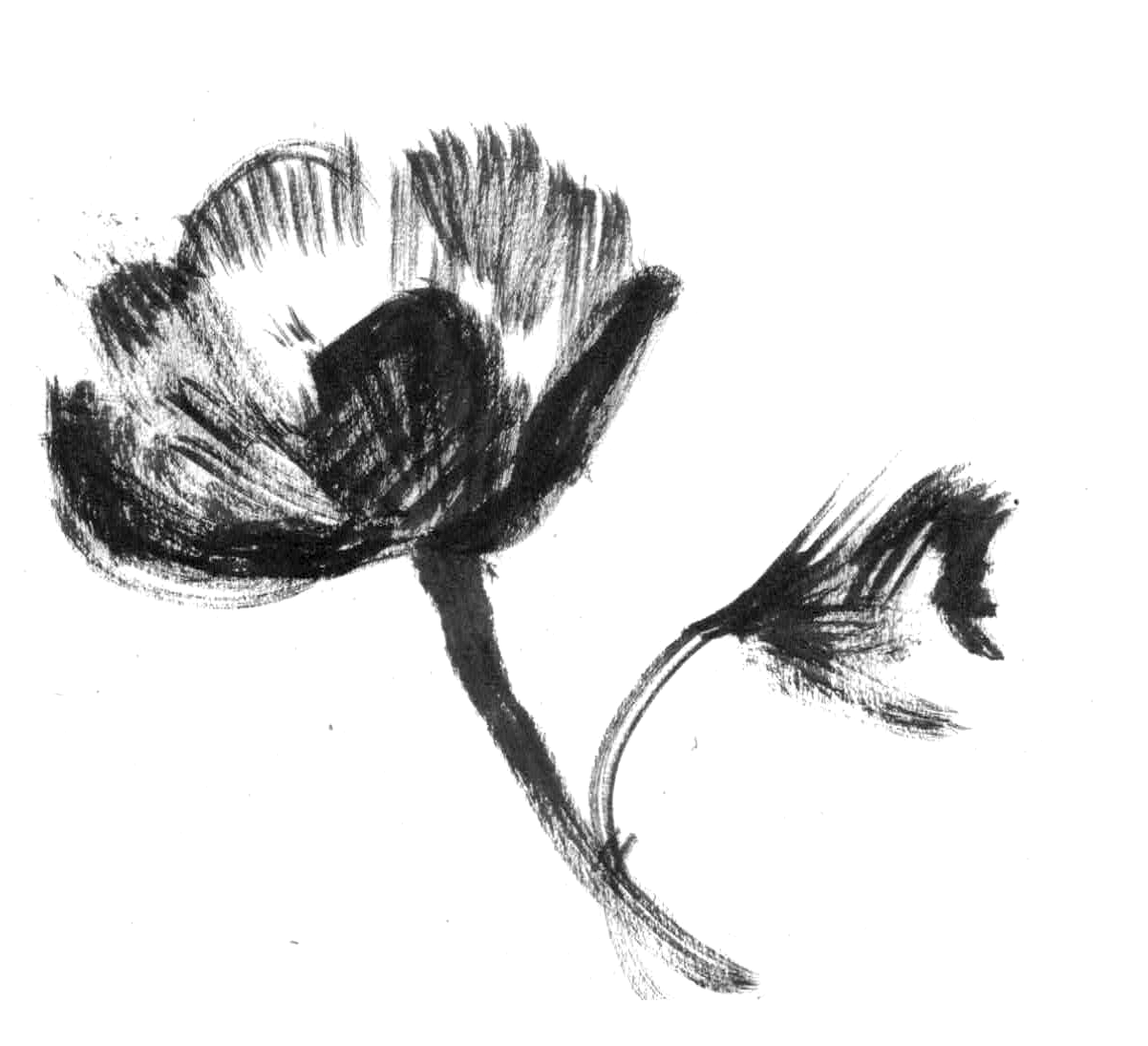  available / disponible 