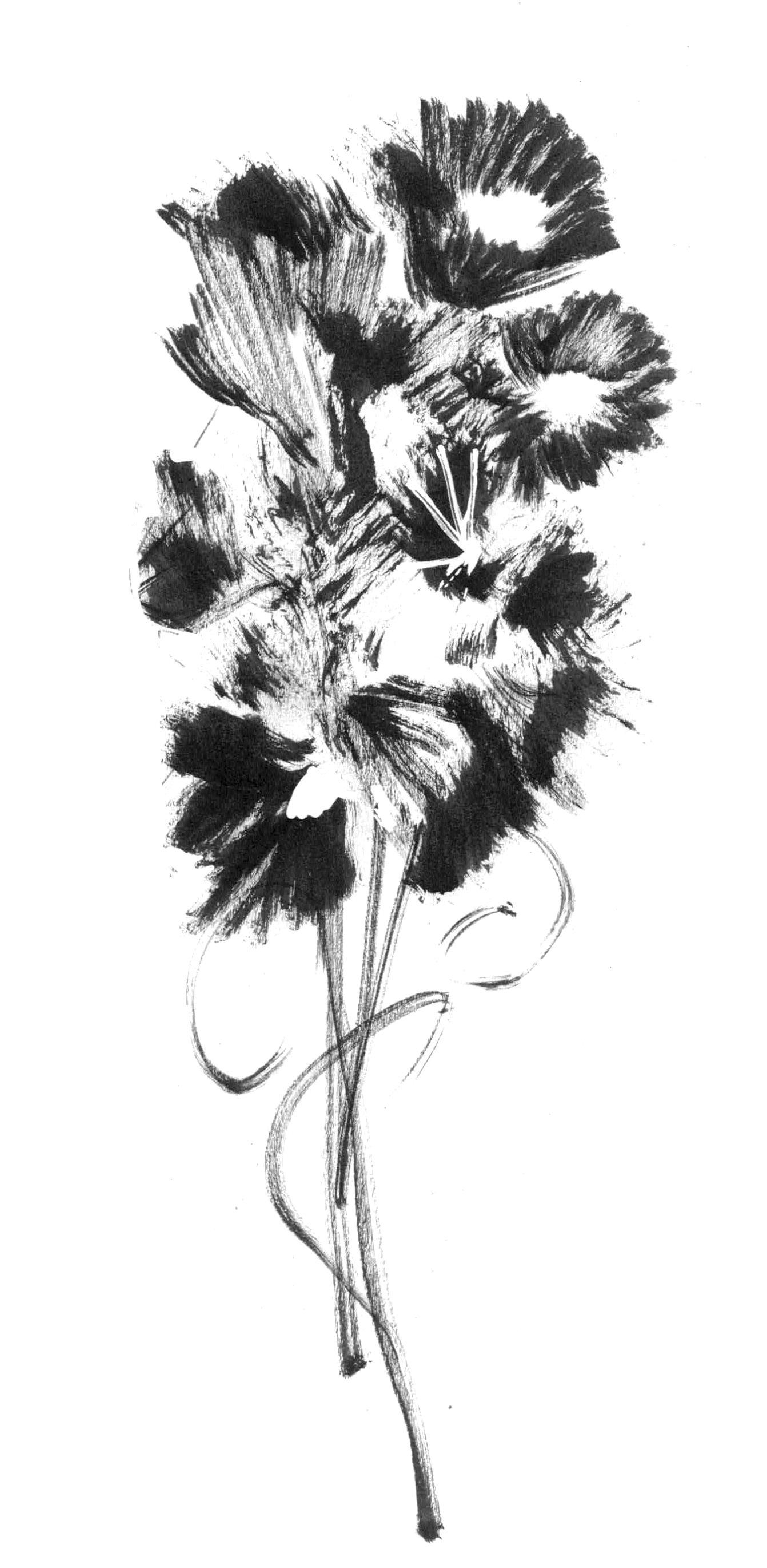  available / disponible 