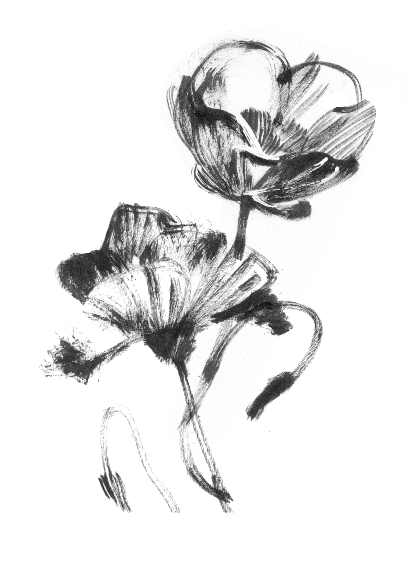  available / disponible 