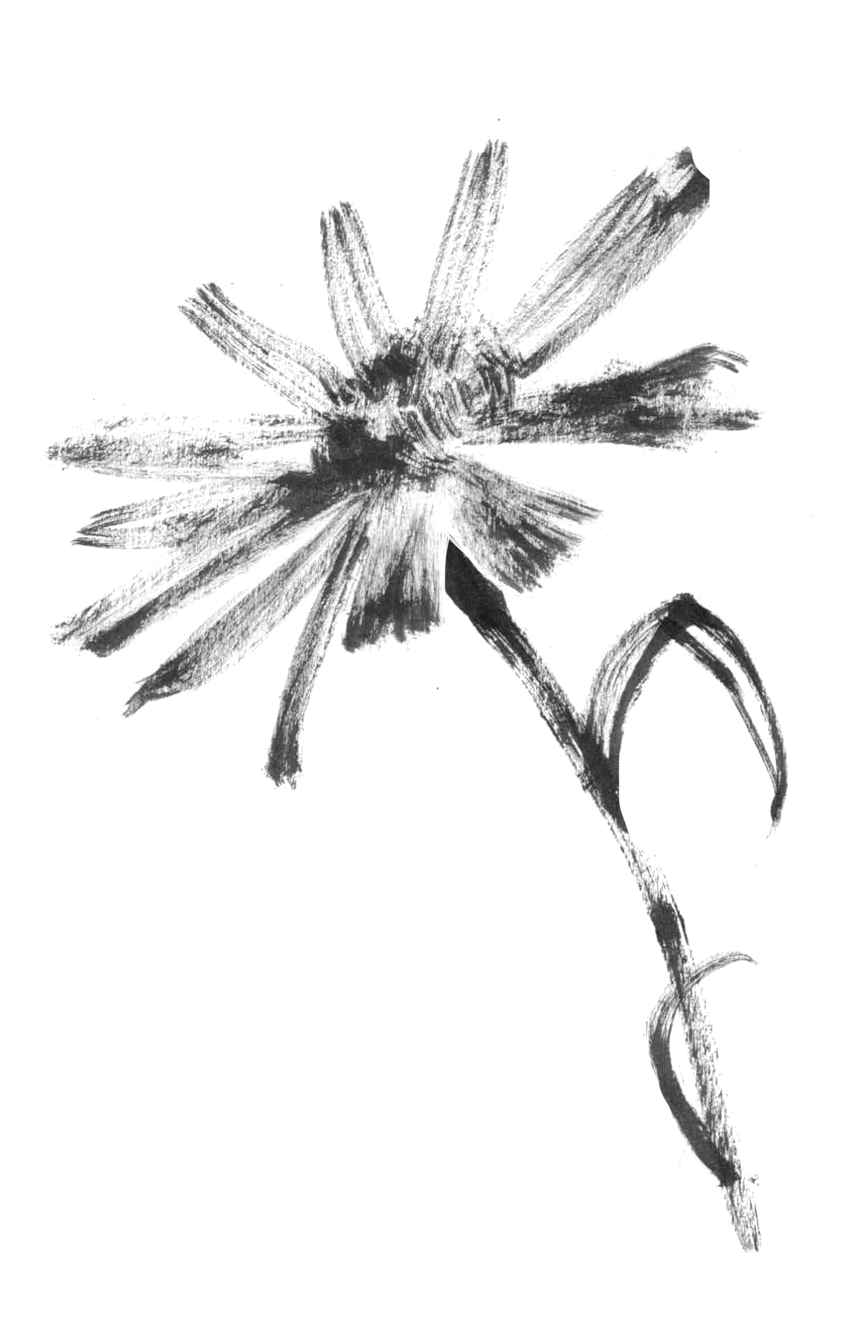  available / disponible 