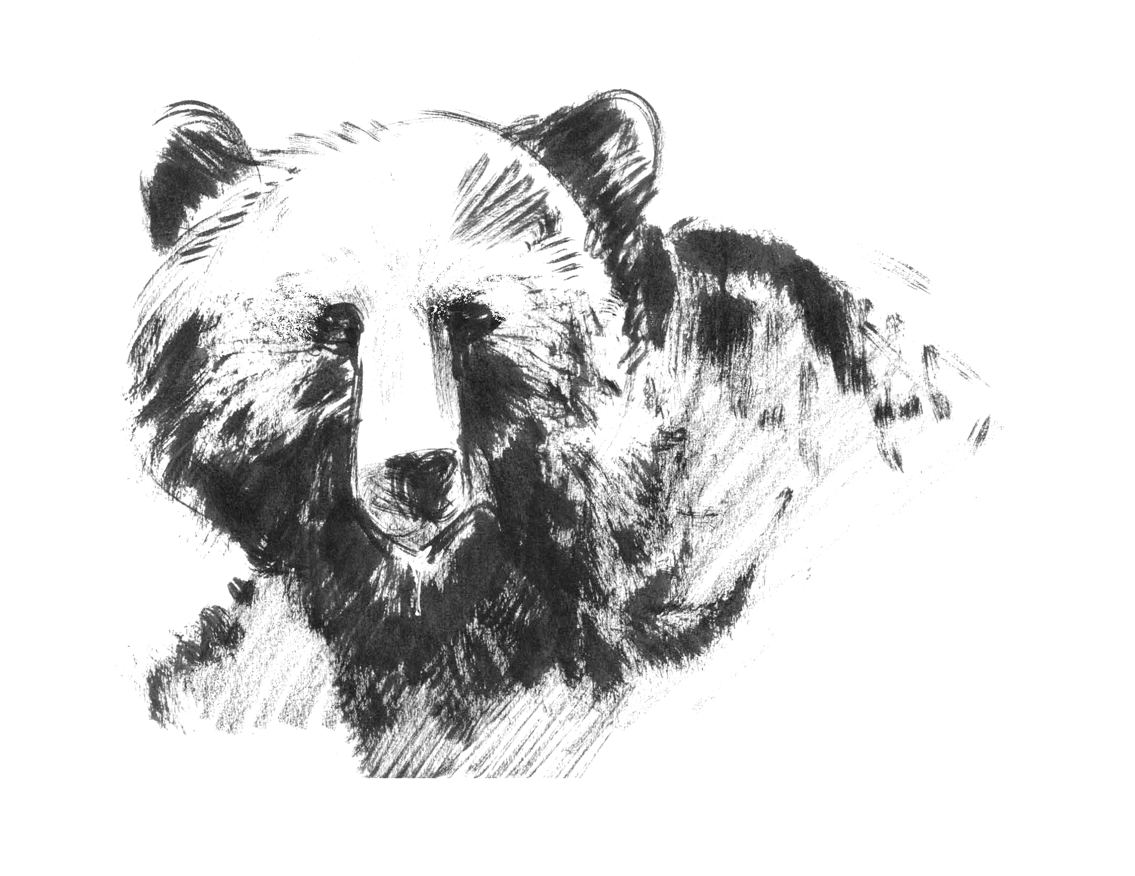  available / disponible 