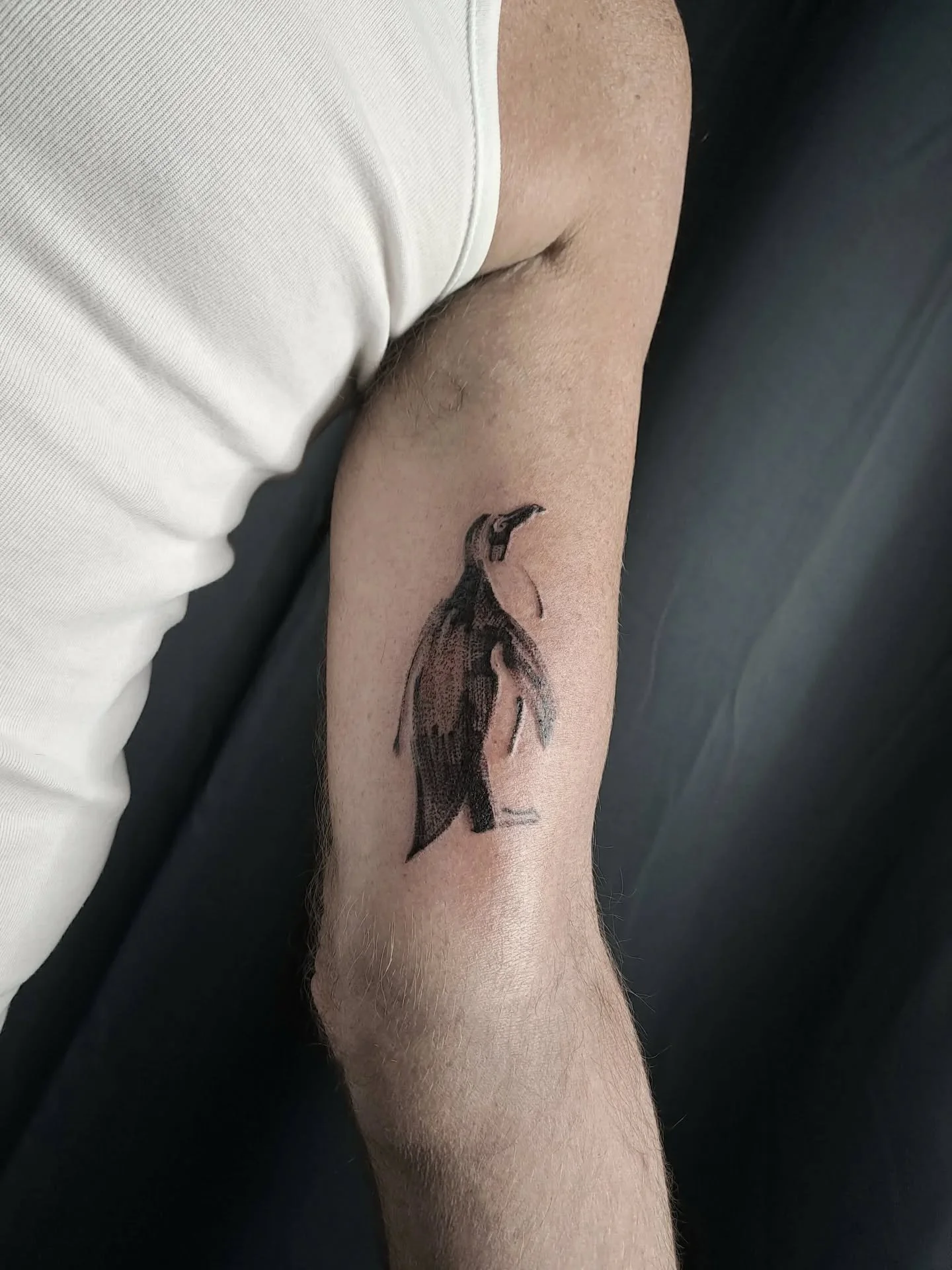 Pour Eric
-
Next guests :
🇨🇵 MONTPELLIER 1-2 d&eacute;cembre
🇬🇧 LONDON 15-16 december
-
Booking and flashbook access:
Pattooer@gmail.com
-
#pattooer #sketch #drawing #draft #dessin #brushtattoo #londontattoo #paristattoo #occultarcana #blackflash