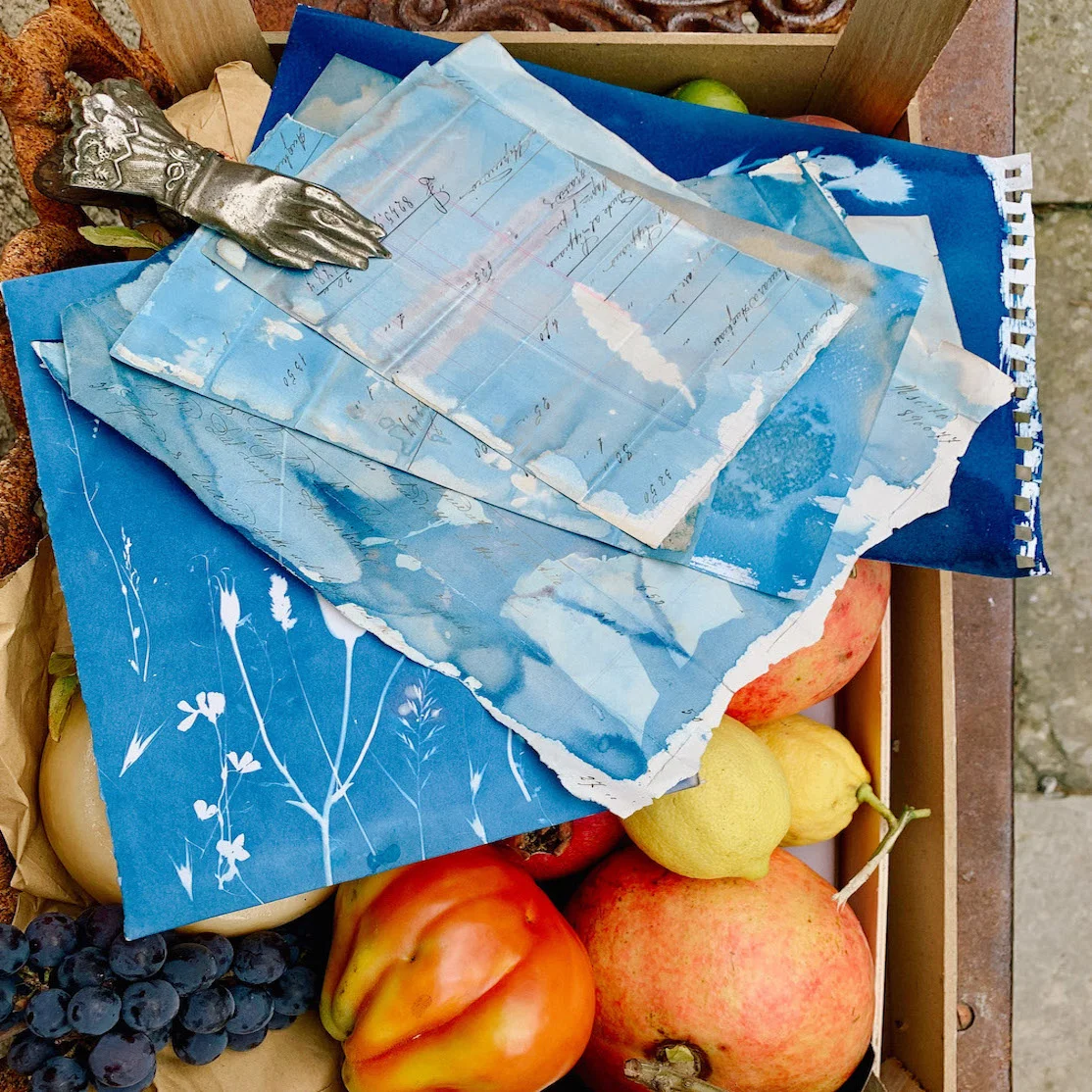 Cyanotypes-4.jpg