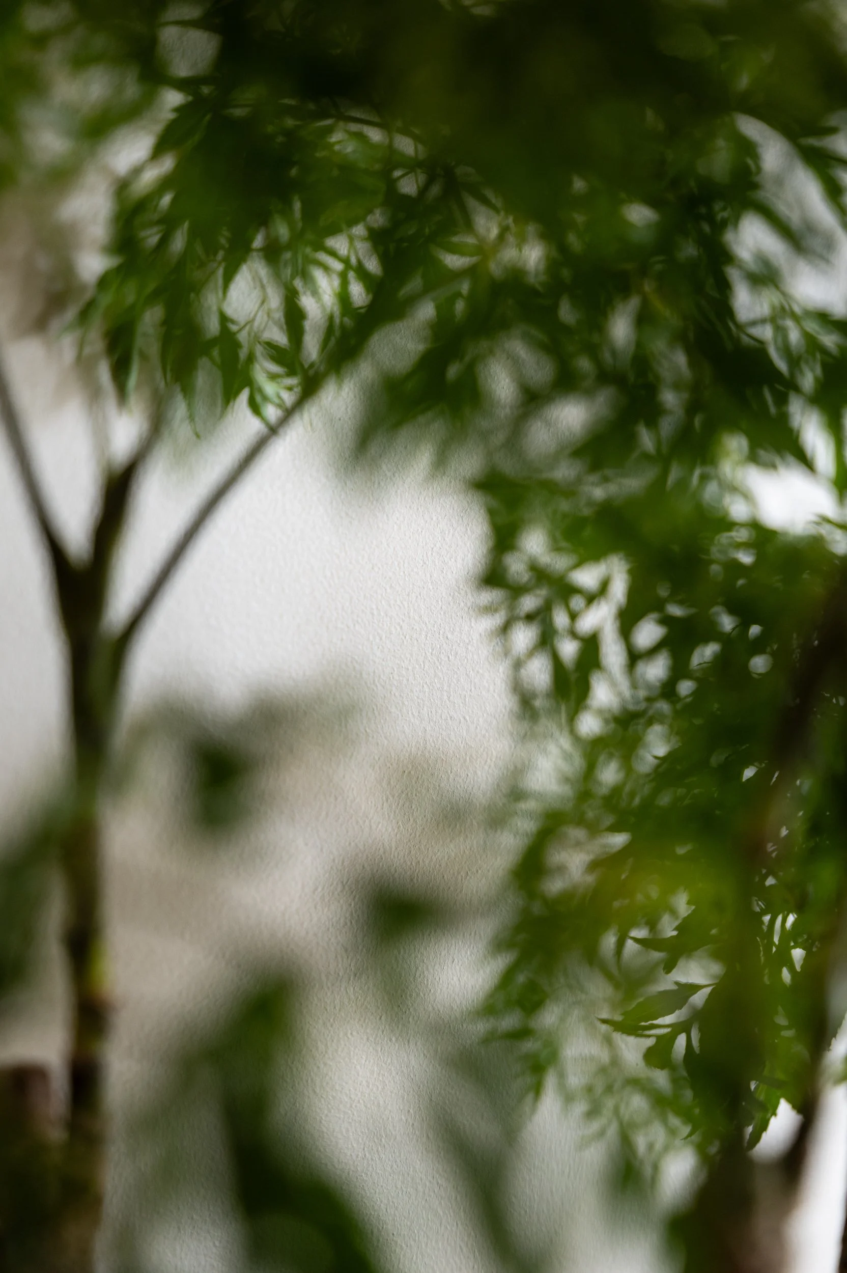 LAUD_PO SHAN rd_23_V2_For Digital Use.jpg