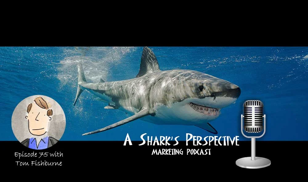 a_sharks_perspective_episode_75_tom_fishburne.jpg