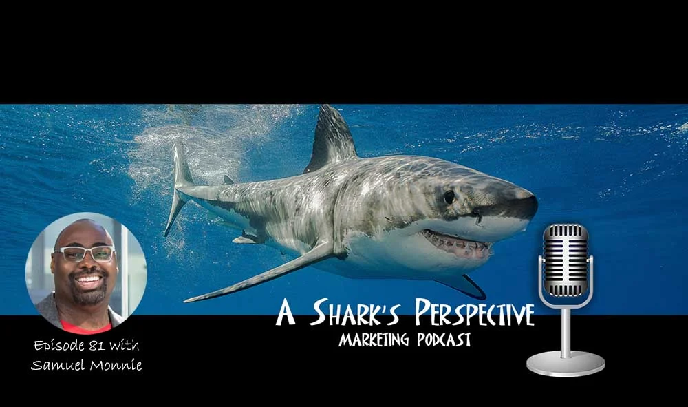 a_sharks_perspective_episode_81_samuel_monnie.jpg