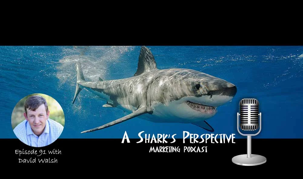 a_sharks_perspective_episode_91_david_walsh.jpg