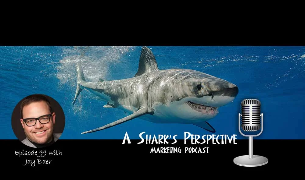 a_sharks_perspective_episode_99_jay_baer.jpg