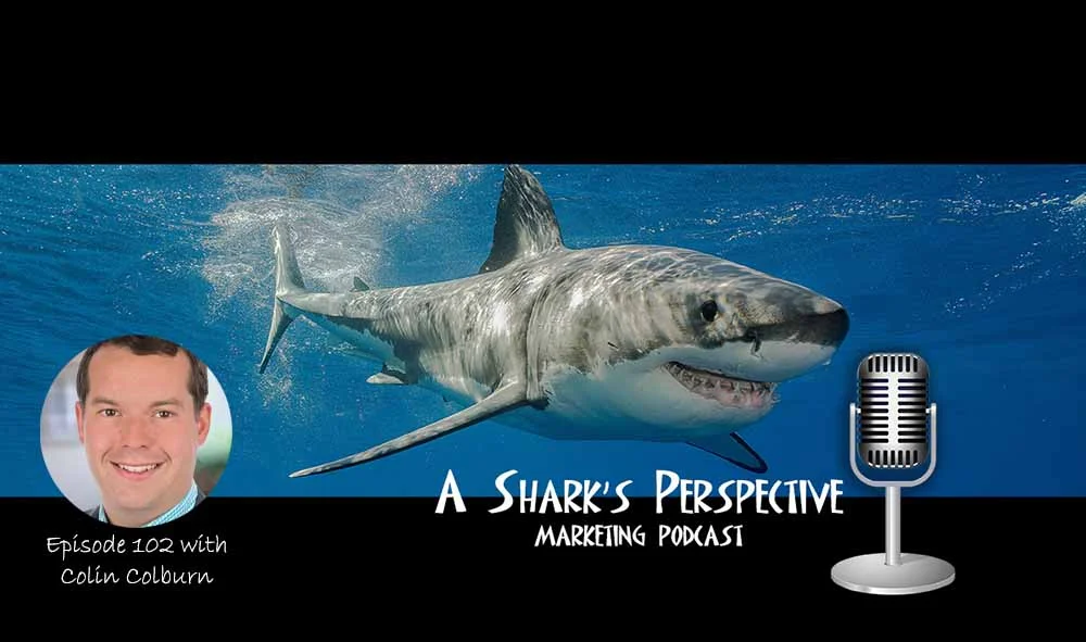 a_sharks_perspective_episode_102_collin_colburn.jpg