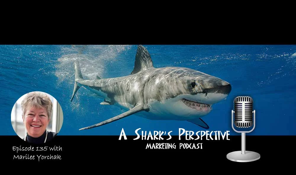 a_sharks_perspective_episode_135_marilee_yorchak.jpg