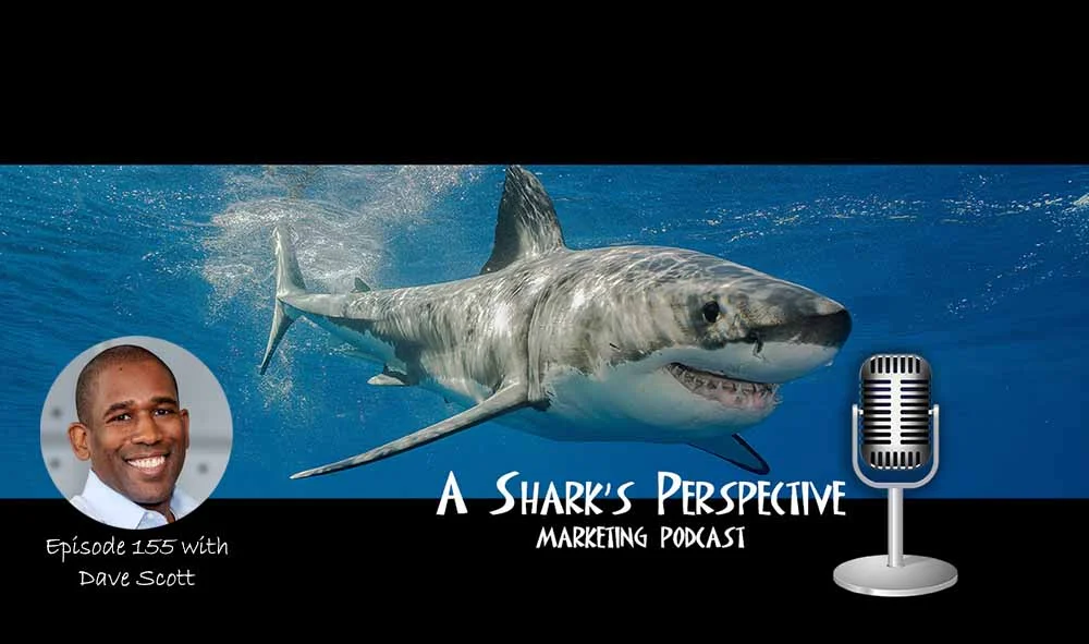 a_sharks_perspective_episode_155_dave_scott.jpg