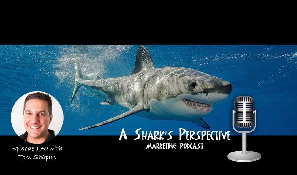 a_sharks_perspective_episode_170_tom_shapiro.jpg