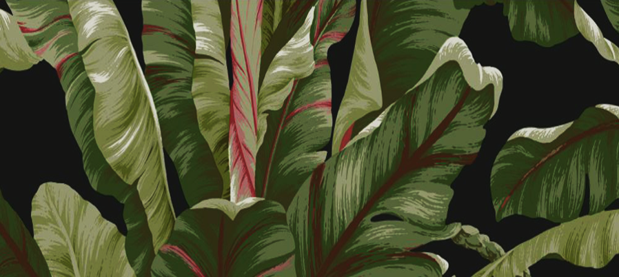 Dark leaves.png