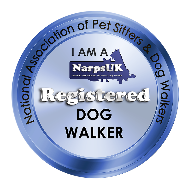  woof squad registered dog walker and pet sitter in cheshire 