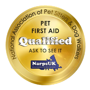  woof squad first aid trained dog walker, pet sitter and other pet services in cheshire 