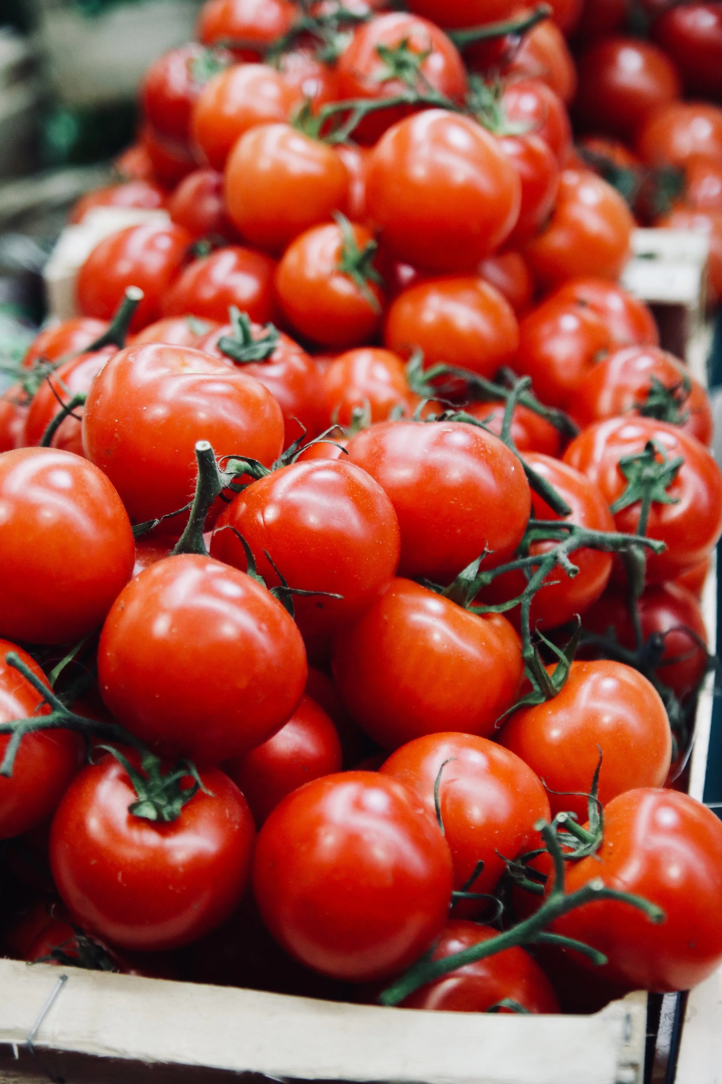 The Complete Guide to Tomatoes (and How to Use Them)
