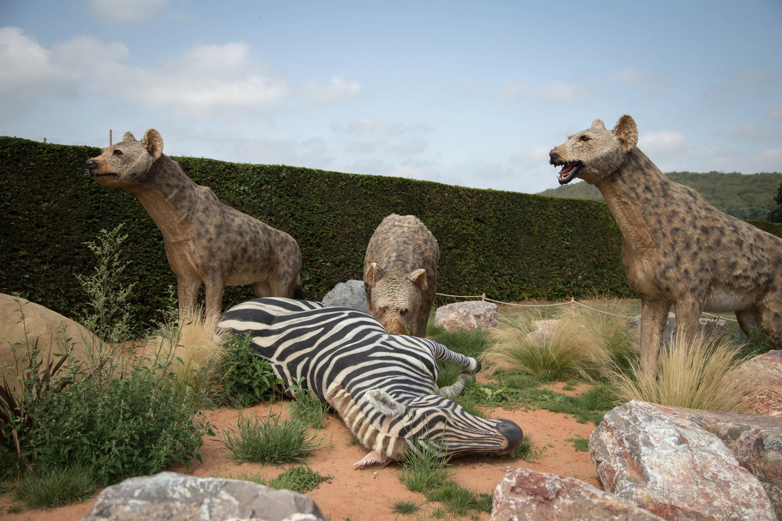Electrical works carried out at the Predators exhibition at Longleat