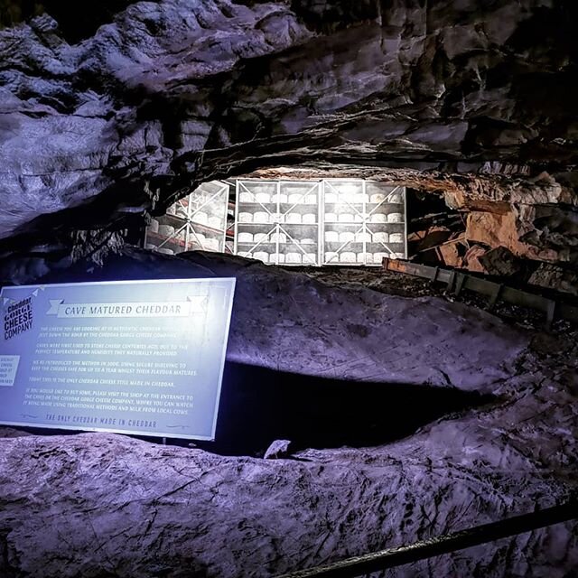 Team Shean have been busy installing new circuits and lighting within the cave this week, illuminating the cheese! After a hard week a lovely drop of potholer.
#teamshean #cheddargorge  #cheddarales #cheddargorgecheesecompany 
#smash #batman.