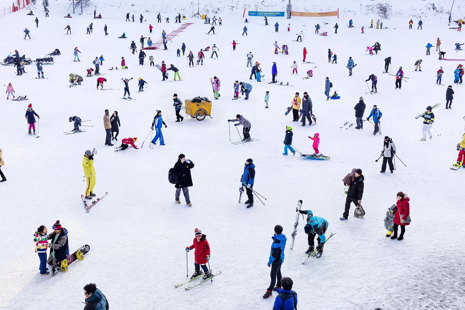 Korean Winterscape