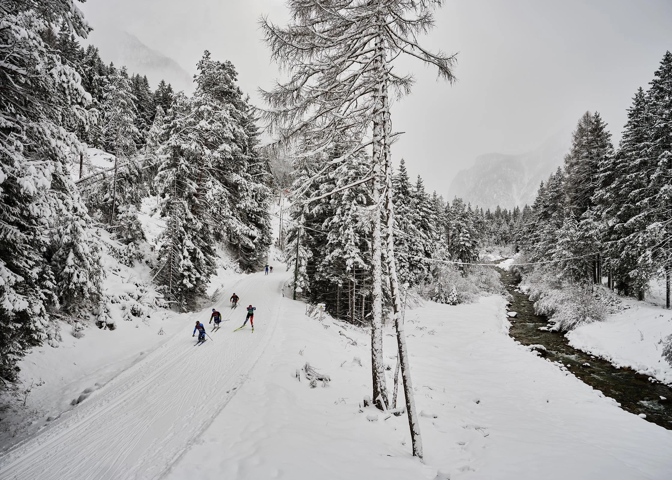 Nordic Arena_074.jpg