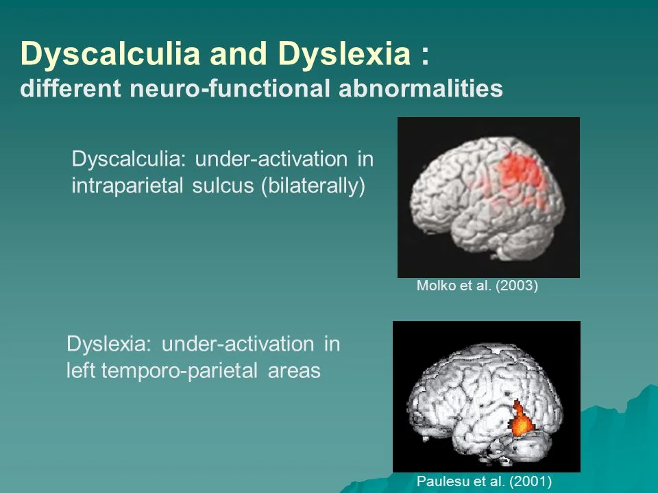slide_37.jpg