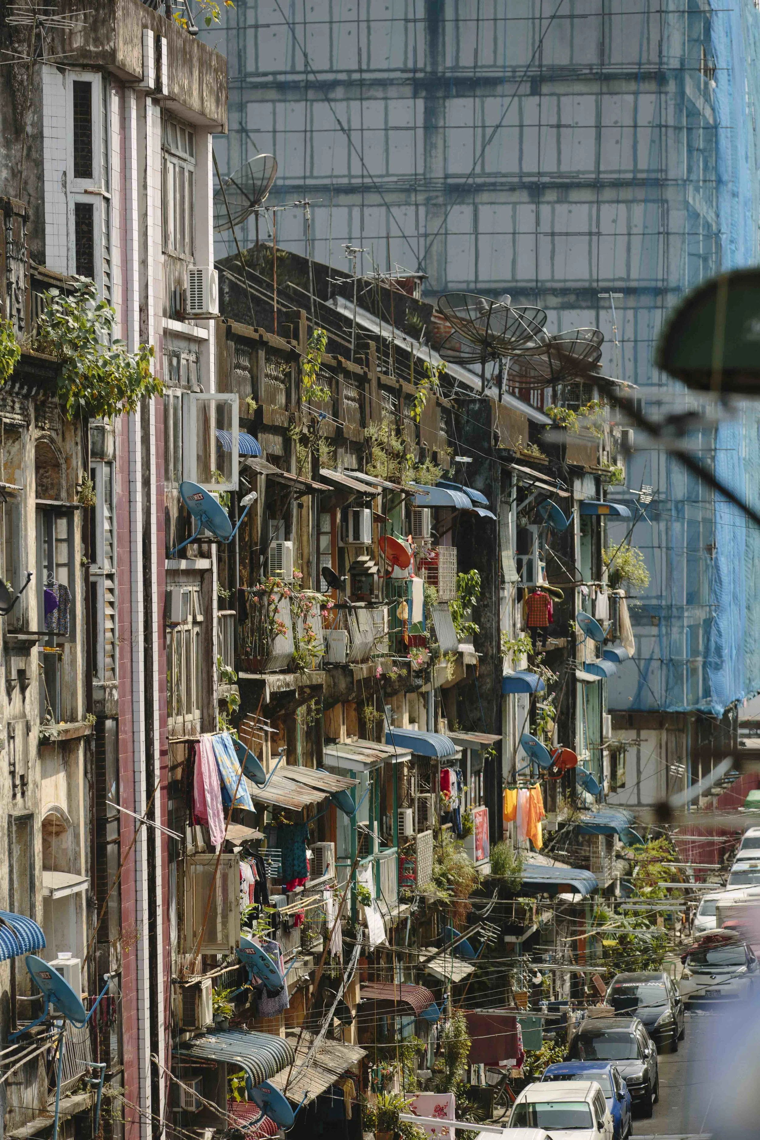 MacCormick_Yangon_Gardens-18.jpg