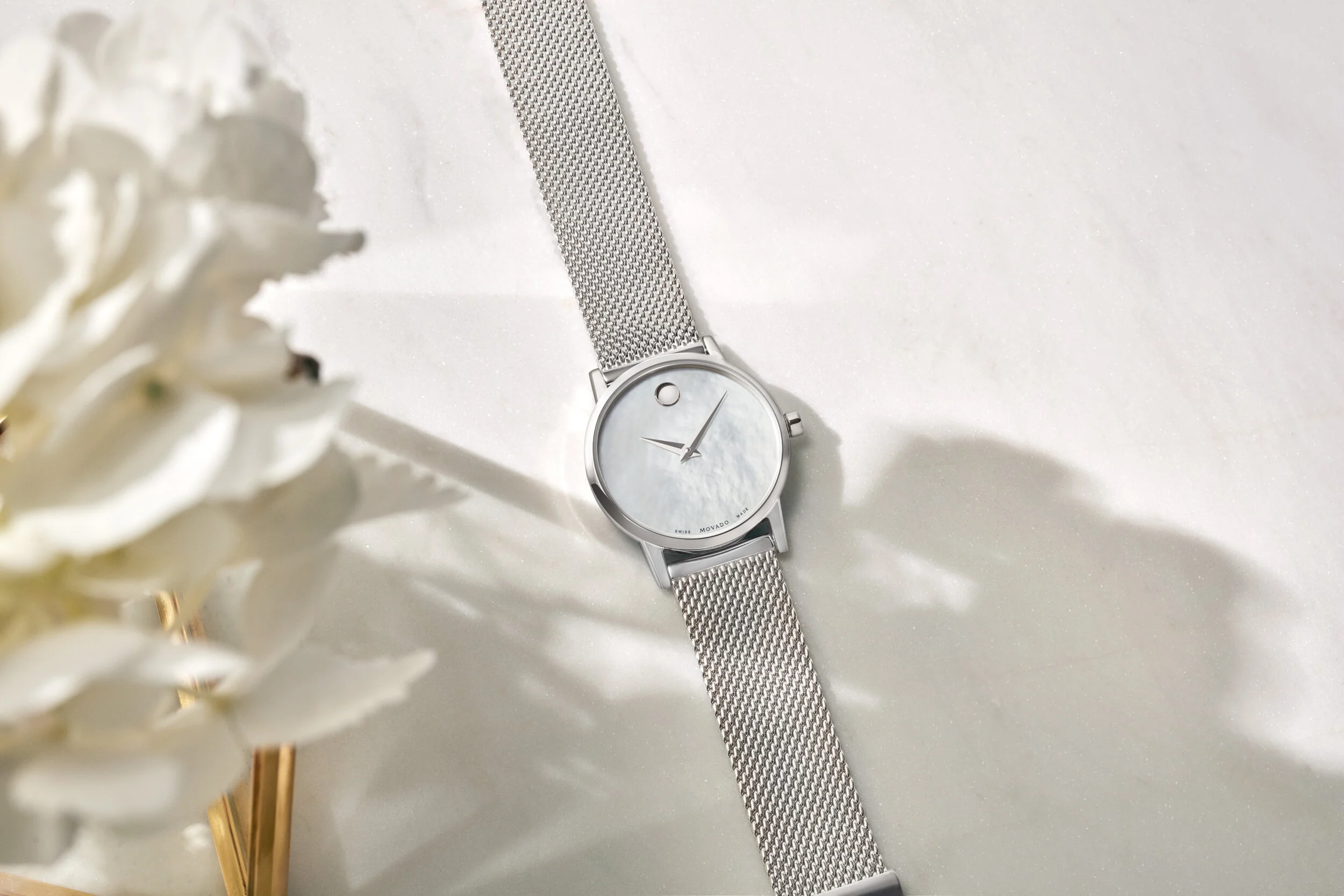 19-08 1523-03D DGN_MVD 0607350.JPG