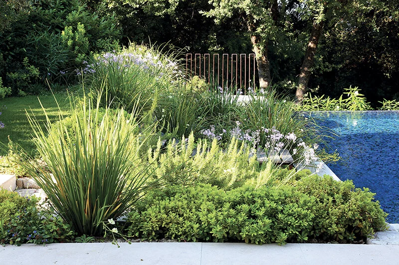 jardindeden2.JPG